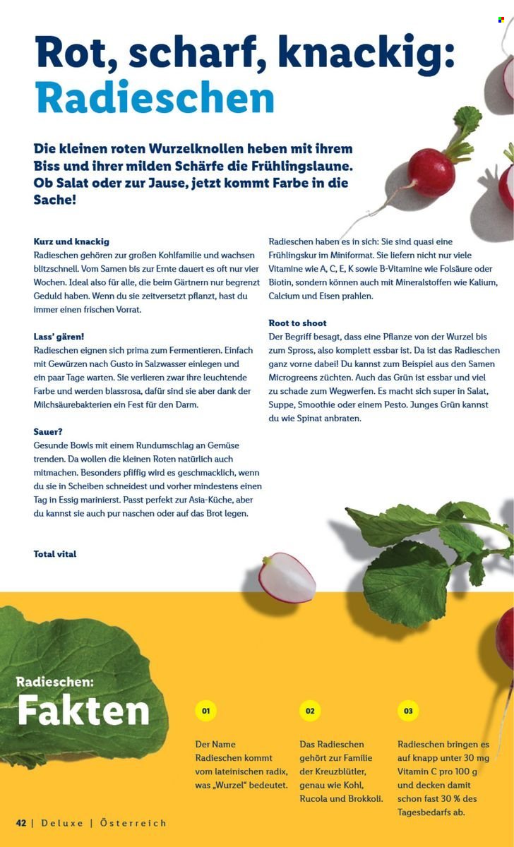 LIDL Flugblatt - Deluxe Ostern Magazin