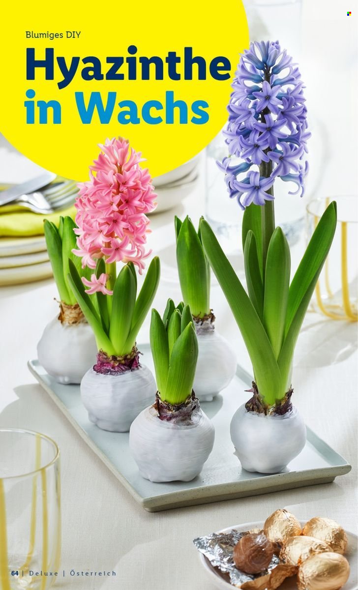 LIDL Flugblatt - Deluxe Ostern Magazin