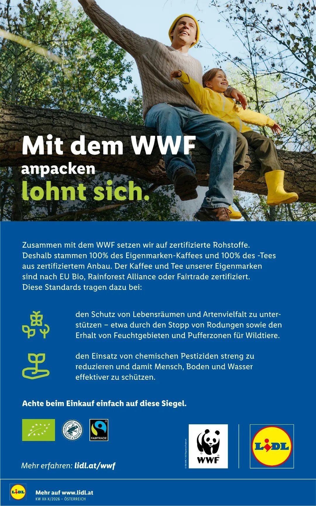 LIDL Flugblatt - Ab Donnerstag, 3.9.2026
