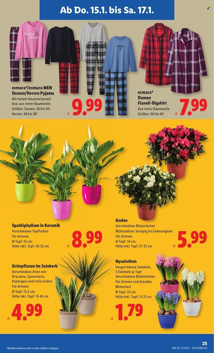 LIDL Flugblatt - Ab Donnerstag, 15.1.2026