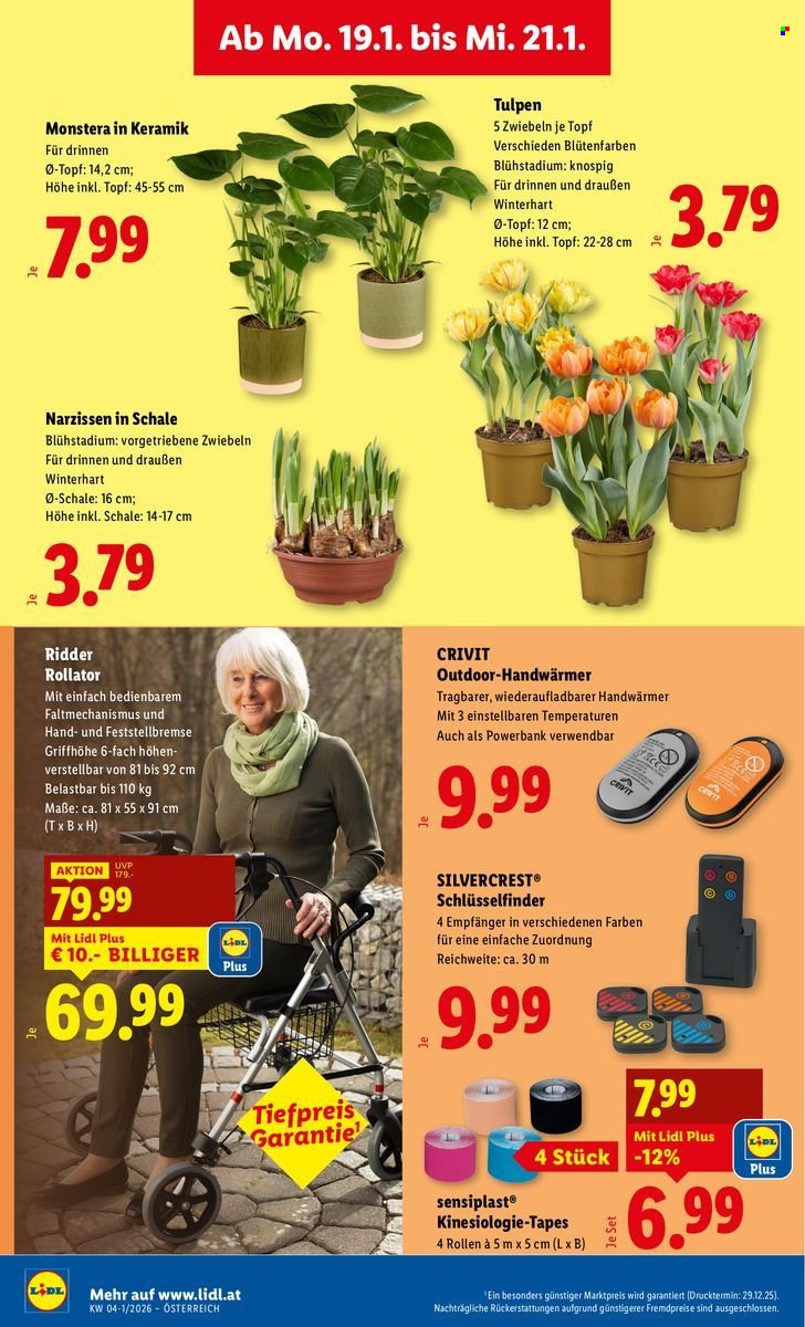 LIDL Flugblatt - Ab Donnerstag, 15.1.2026