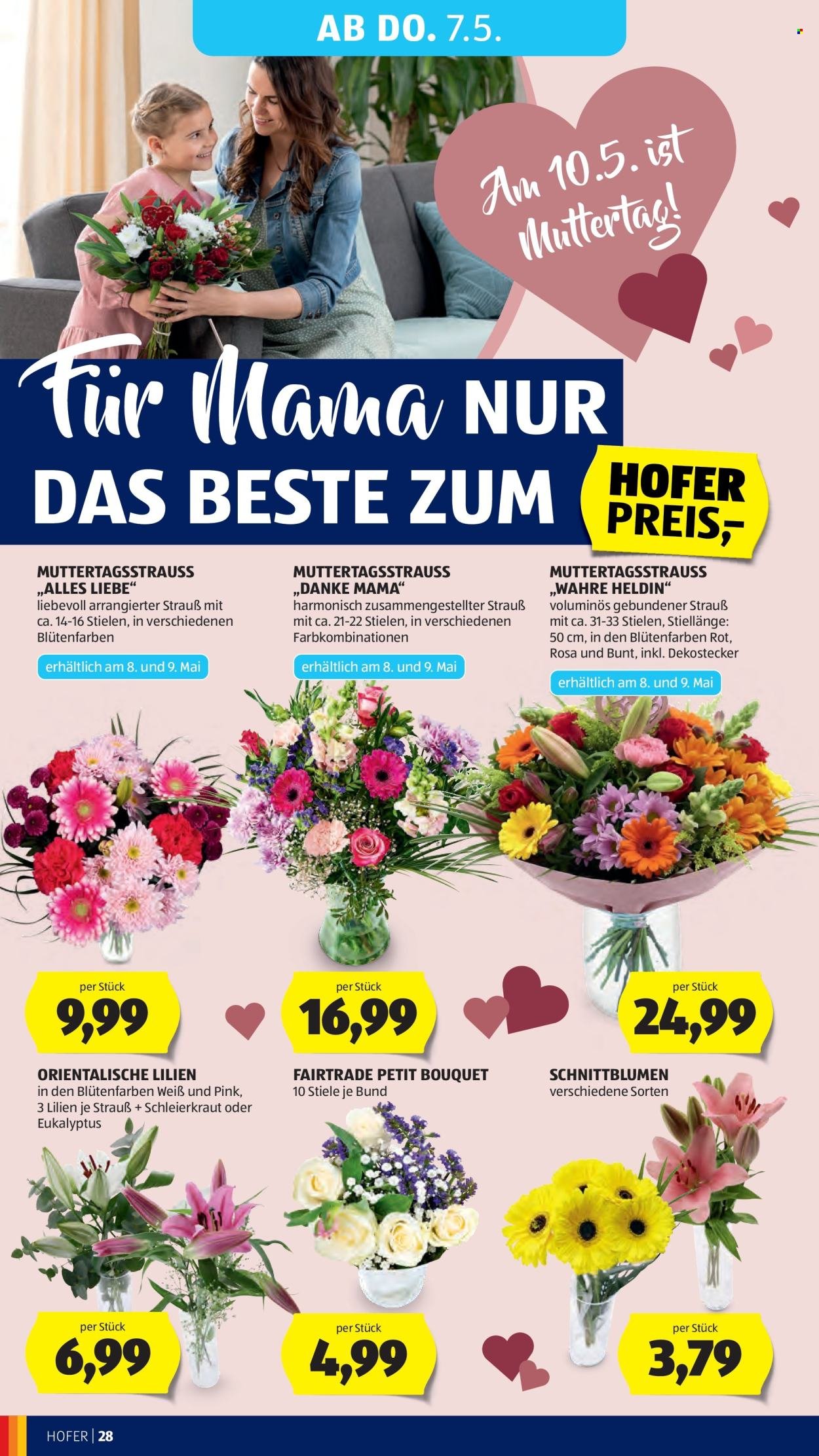 HOFER Flugblatt - Ab Mittwoch, 29.4.2026