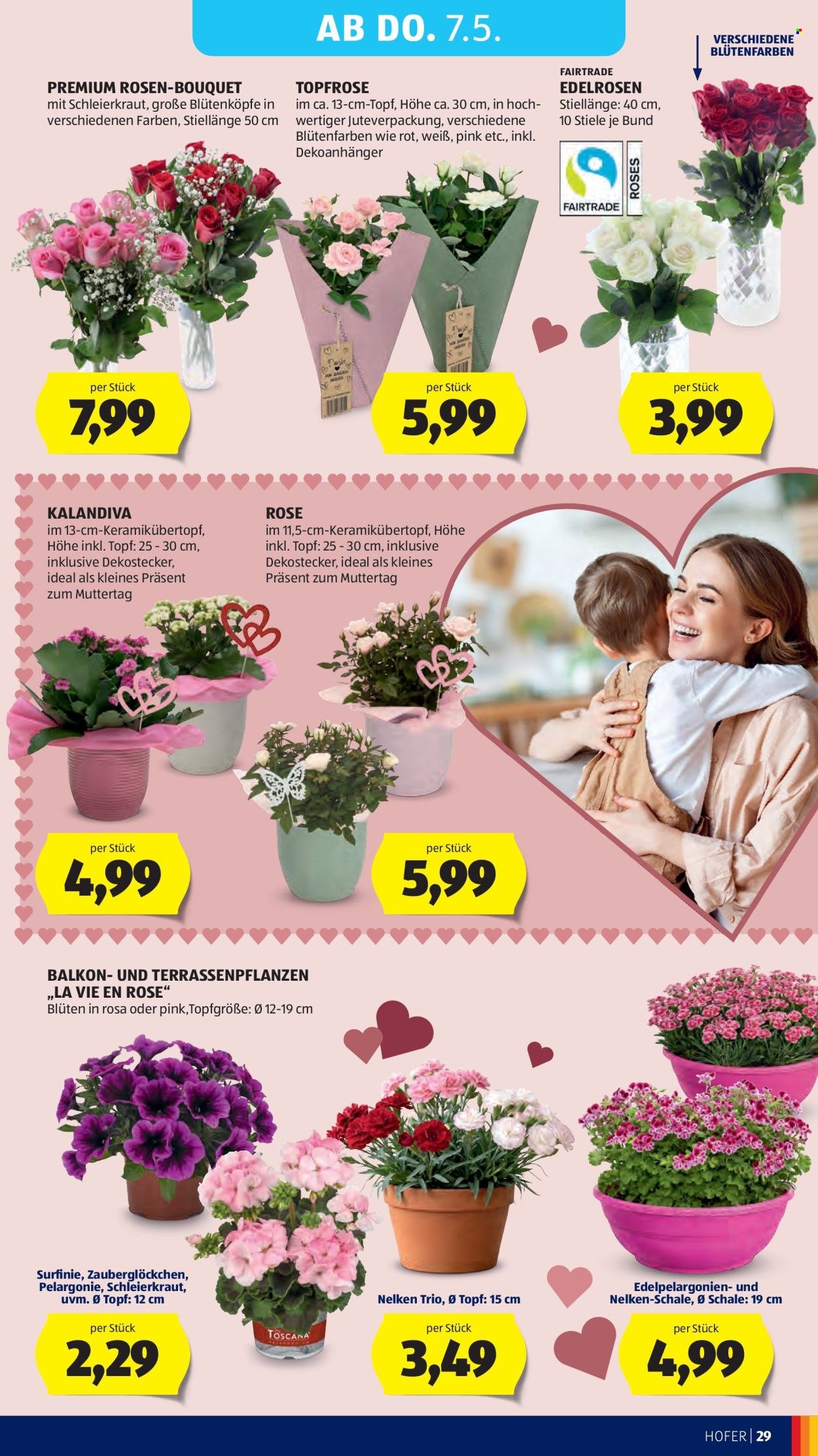 HOFER Flugblatt - Ab Mittwoch, 29.4.2026