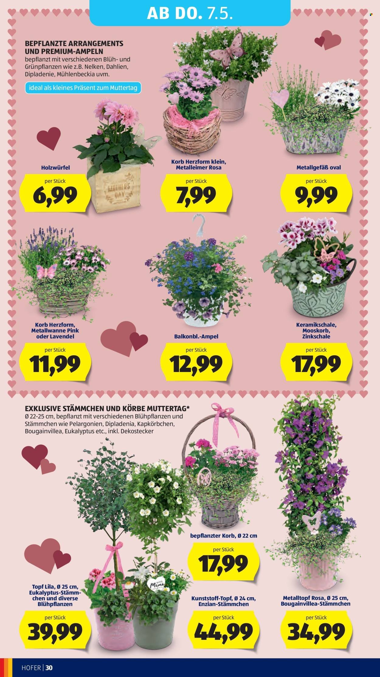 HOFER Flugblatt - Ab Mittwoch, 29.4.2026