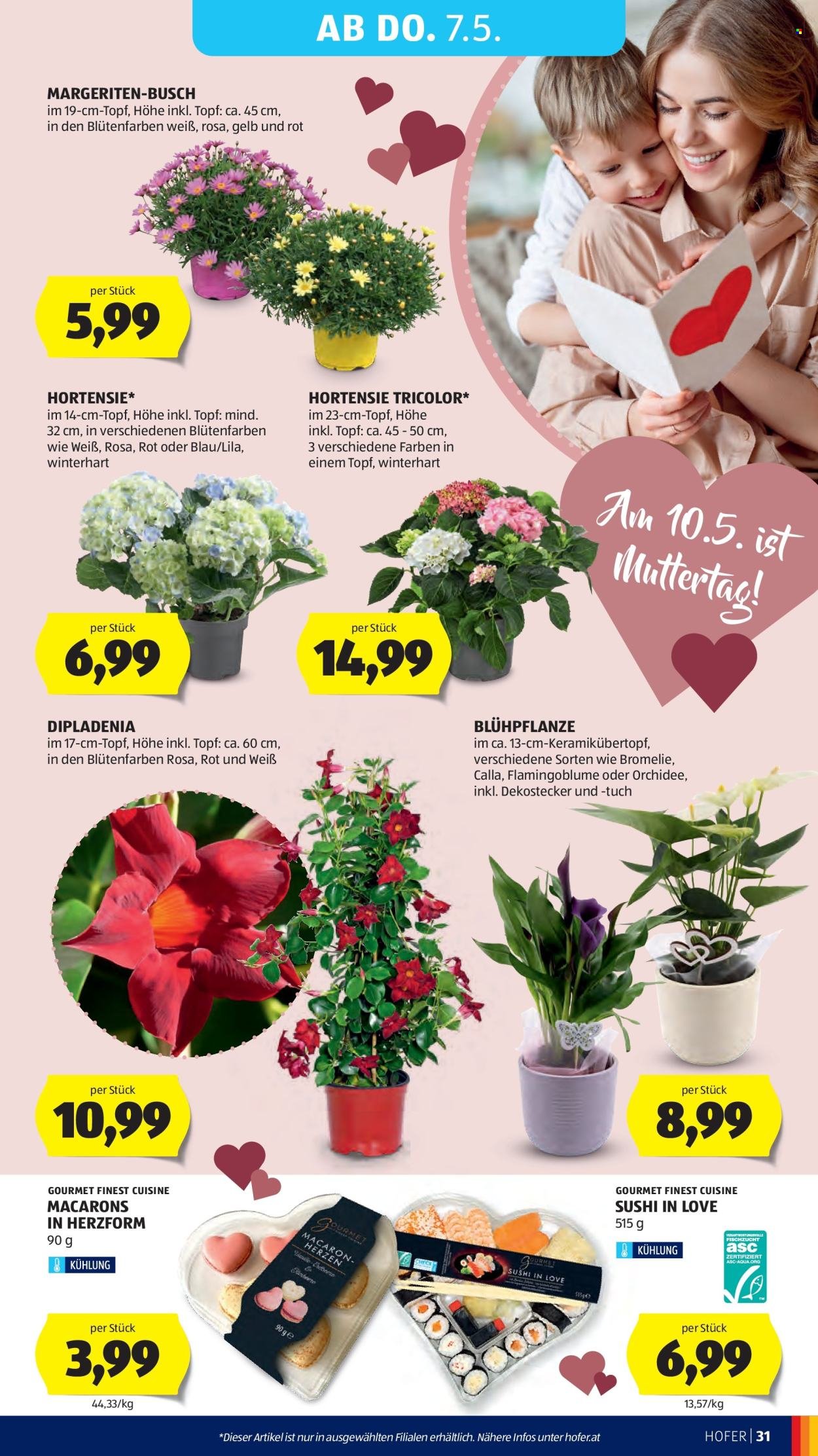 HOFER Flugblatt - Ab Mittwoch, 29.4.2026