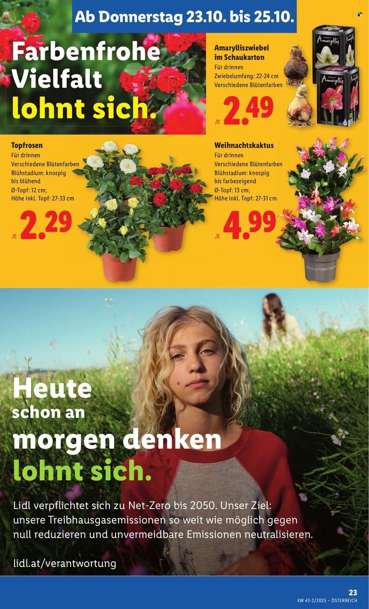 LIDL Flugblatt - Ab Donnerstag, 23.10.2025 (2025-10-23 - 2025-10-29)