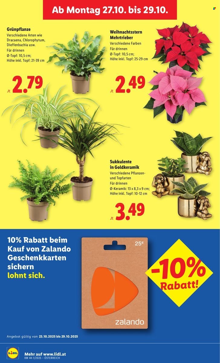 LIDL Flugblatt - Ab Donnerstag, 23.10.2025 (2025-10-23 - 2025-10-29)