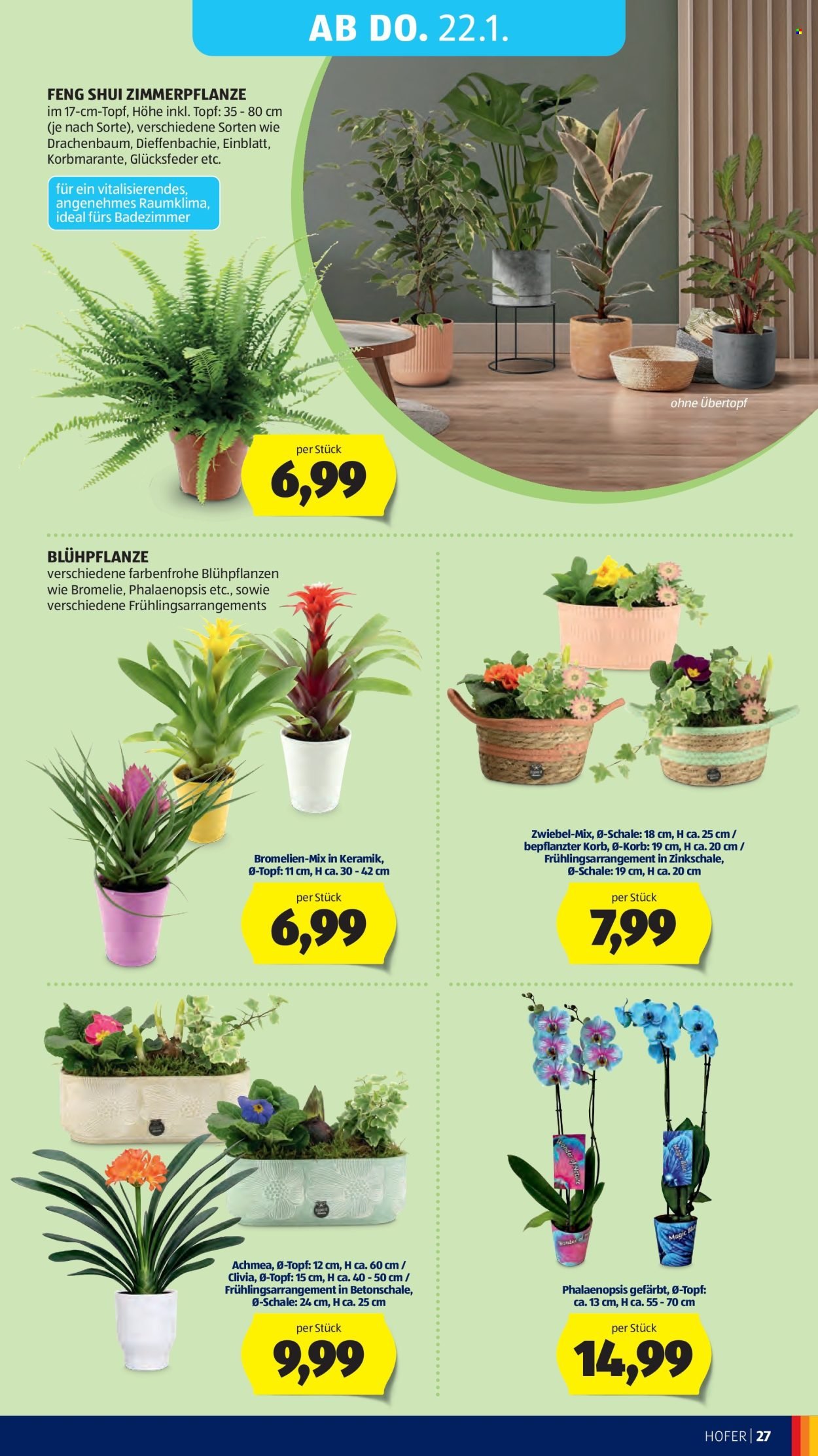 HOFER Flugblatt - Ab Mittwoch, 14.1.2026