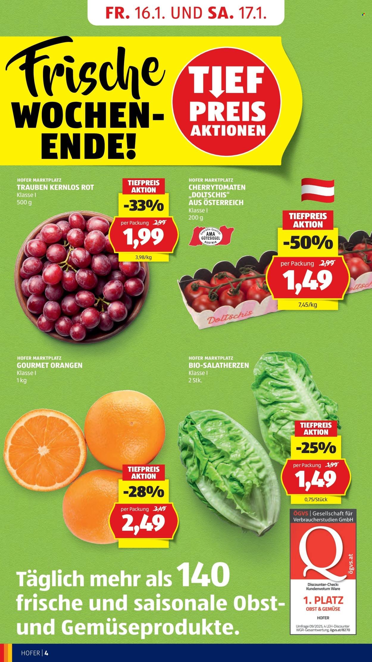 HOFER Flugblatt - Ab Mittwoch, 14.1.2026