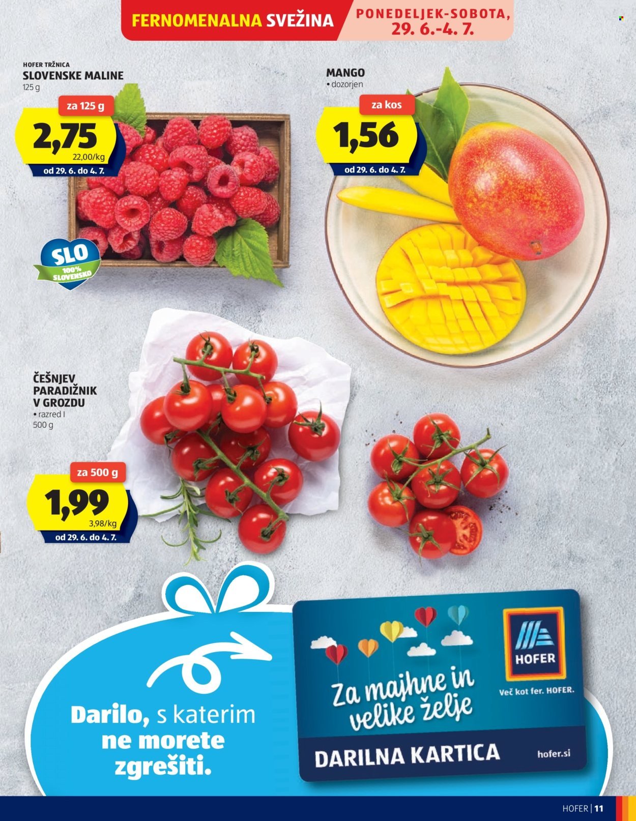 HOFER Flugblatt - Ab Freitag, 26.6.2026