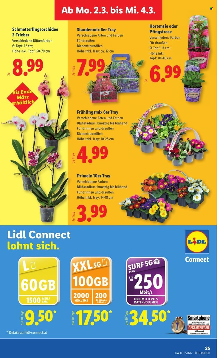 LIDL Flugblatt - Ab Donnerstag, 26.2.2026