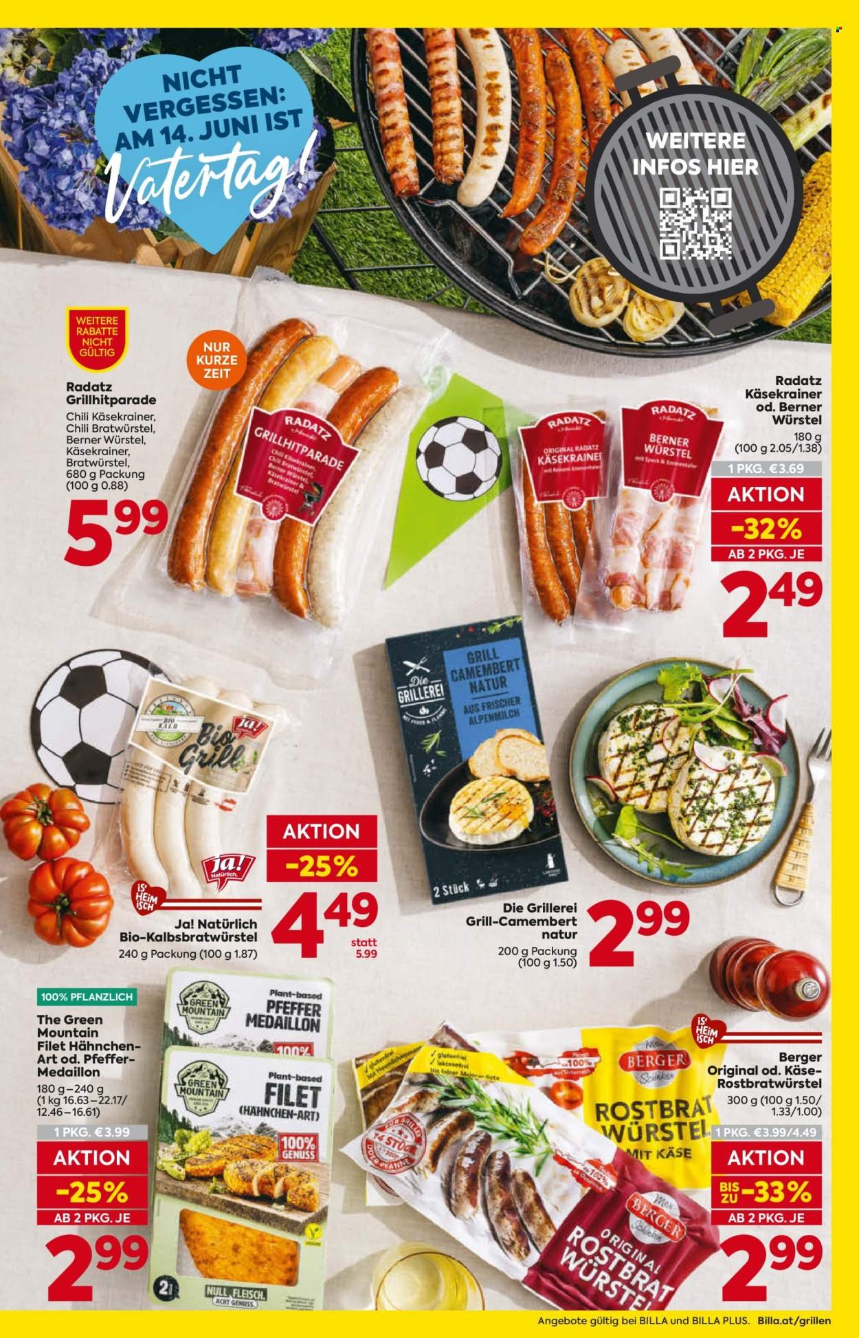 BILLA Flugblatt - Grillen