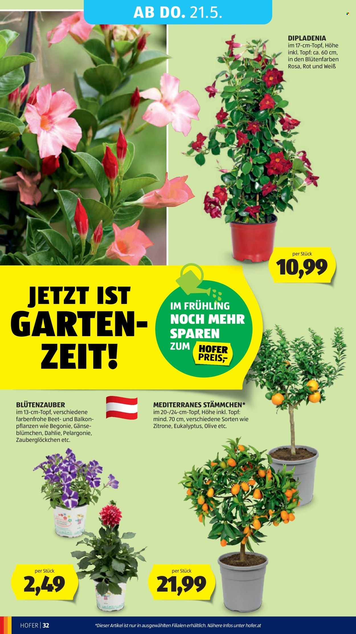 HOFER Flugblatt - Ab Freitag, 15.5.2026