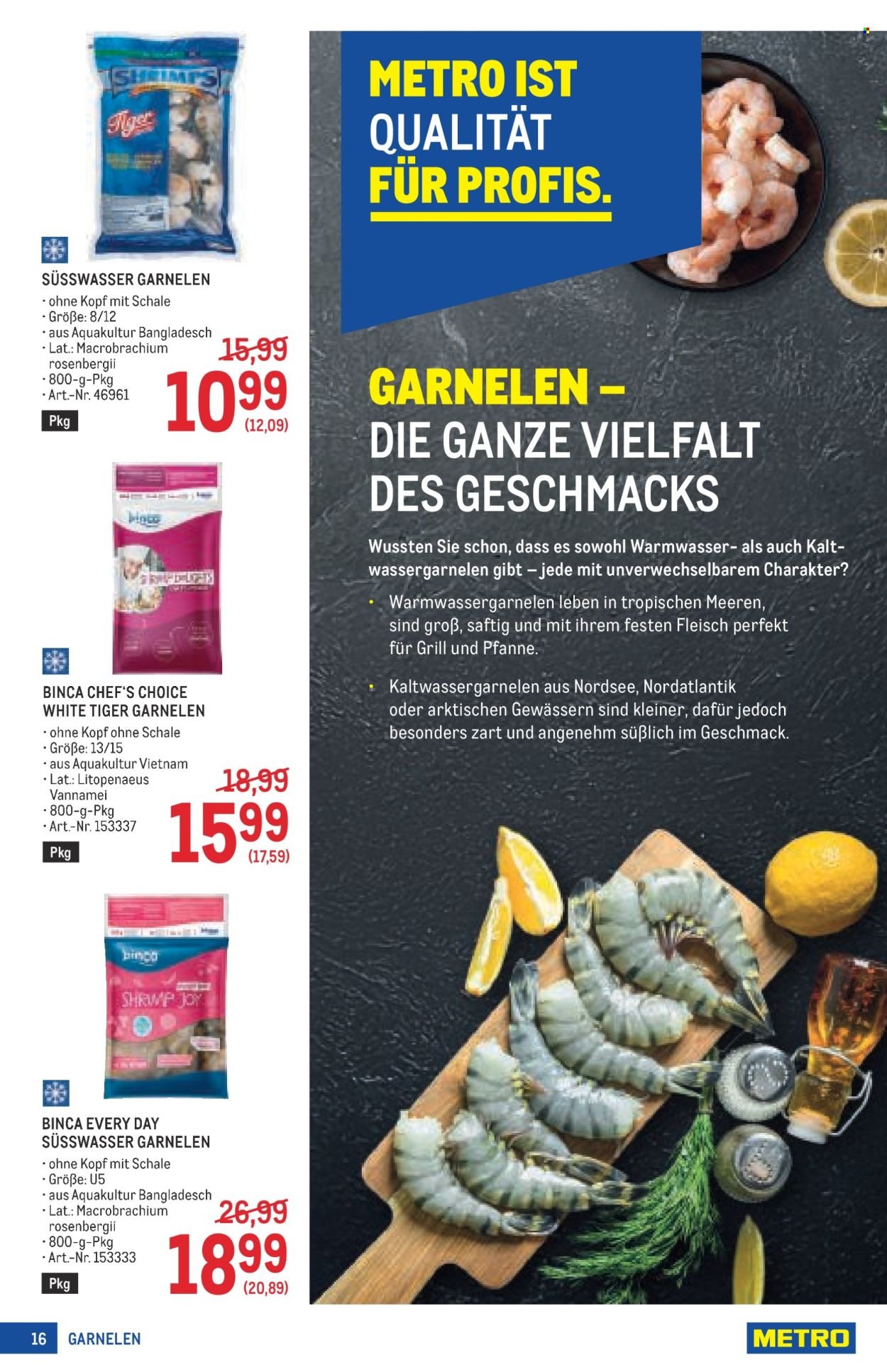 METRO Flugblatt - Profi