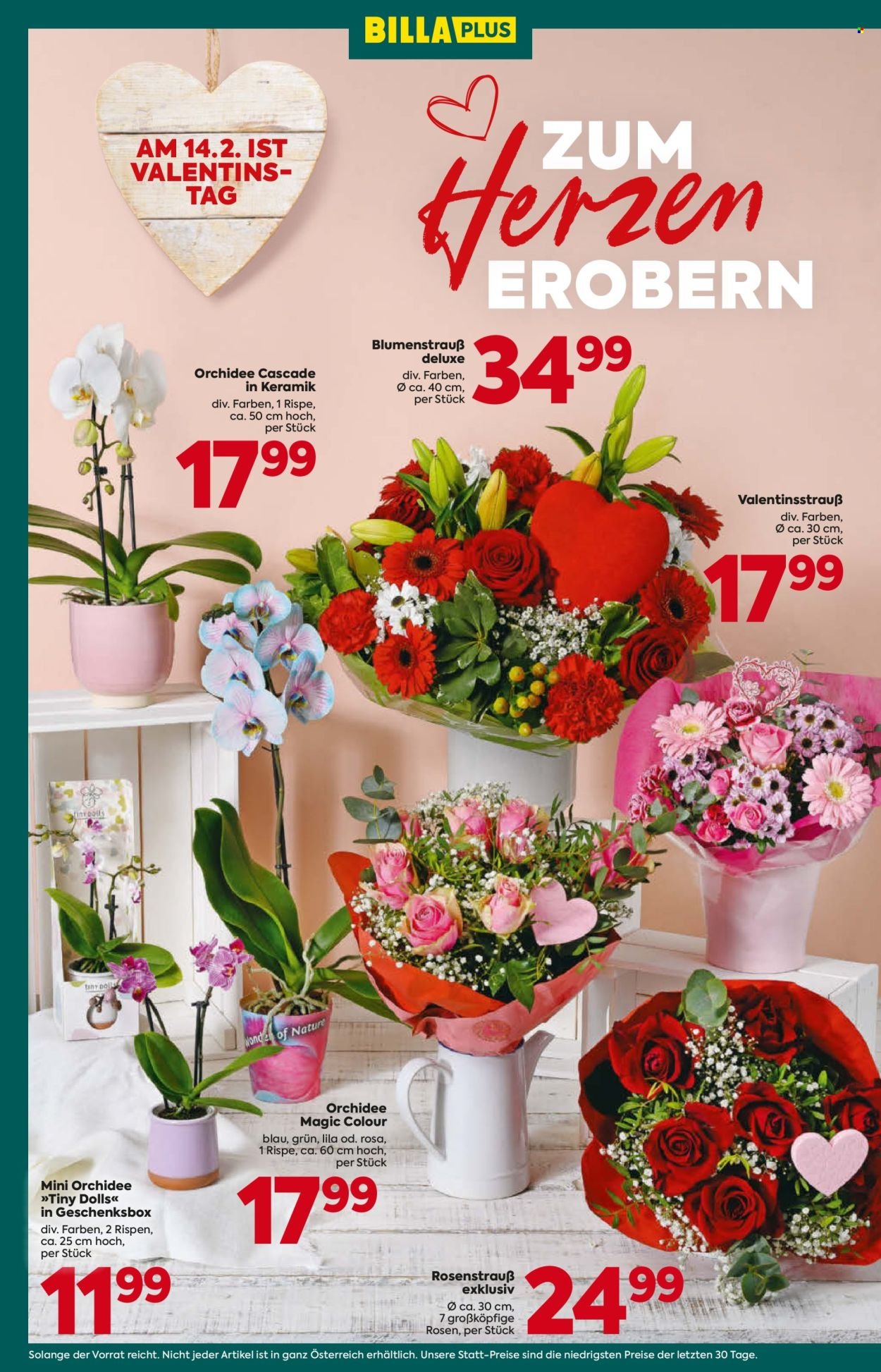 BILLA PLUS Flugblatt - Ab Donnerstag, 12.2.2026