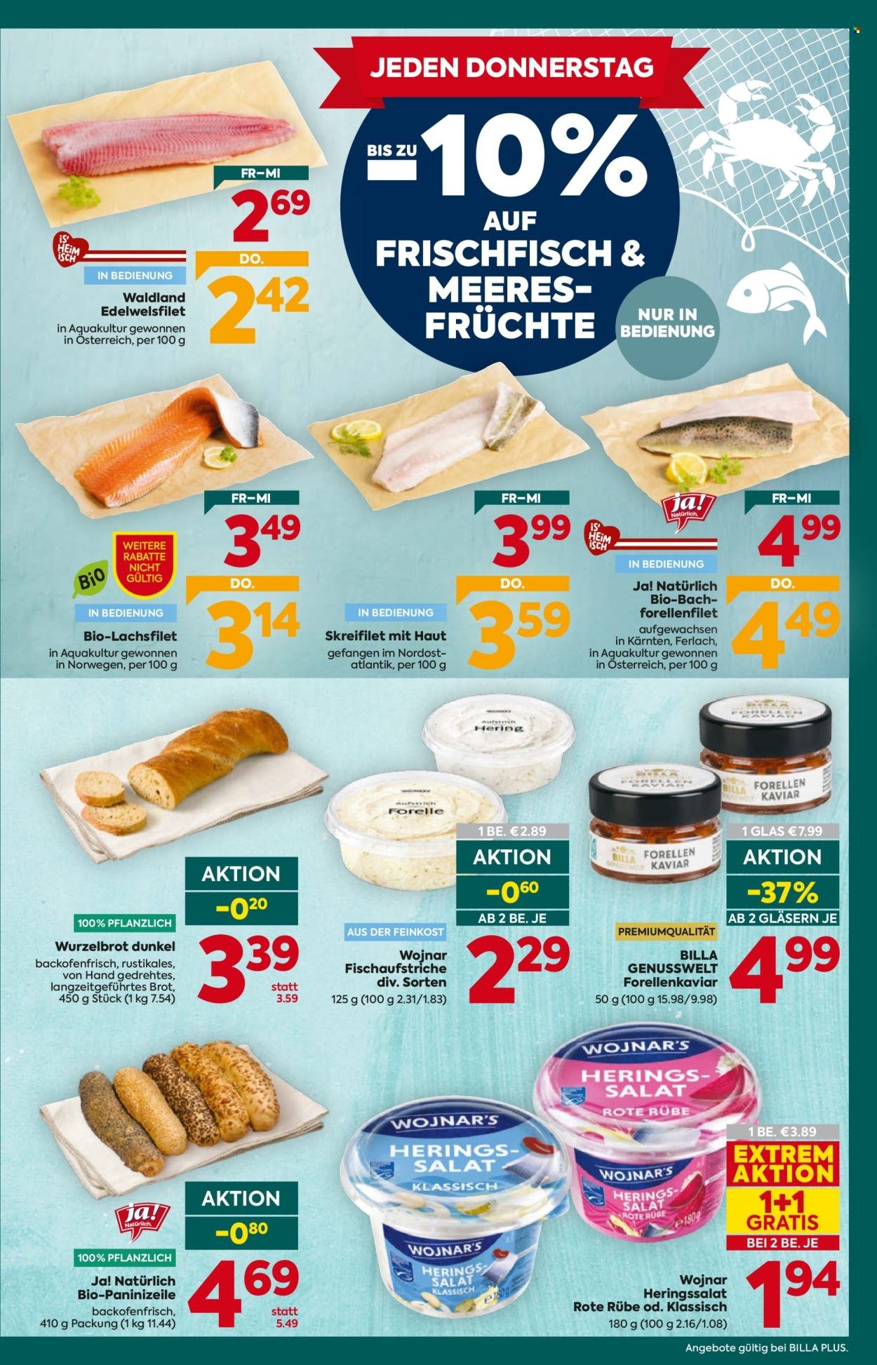 BILLA PLUS Flugblatt - Ab Donnerstag, 12.2.2026