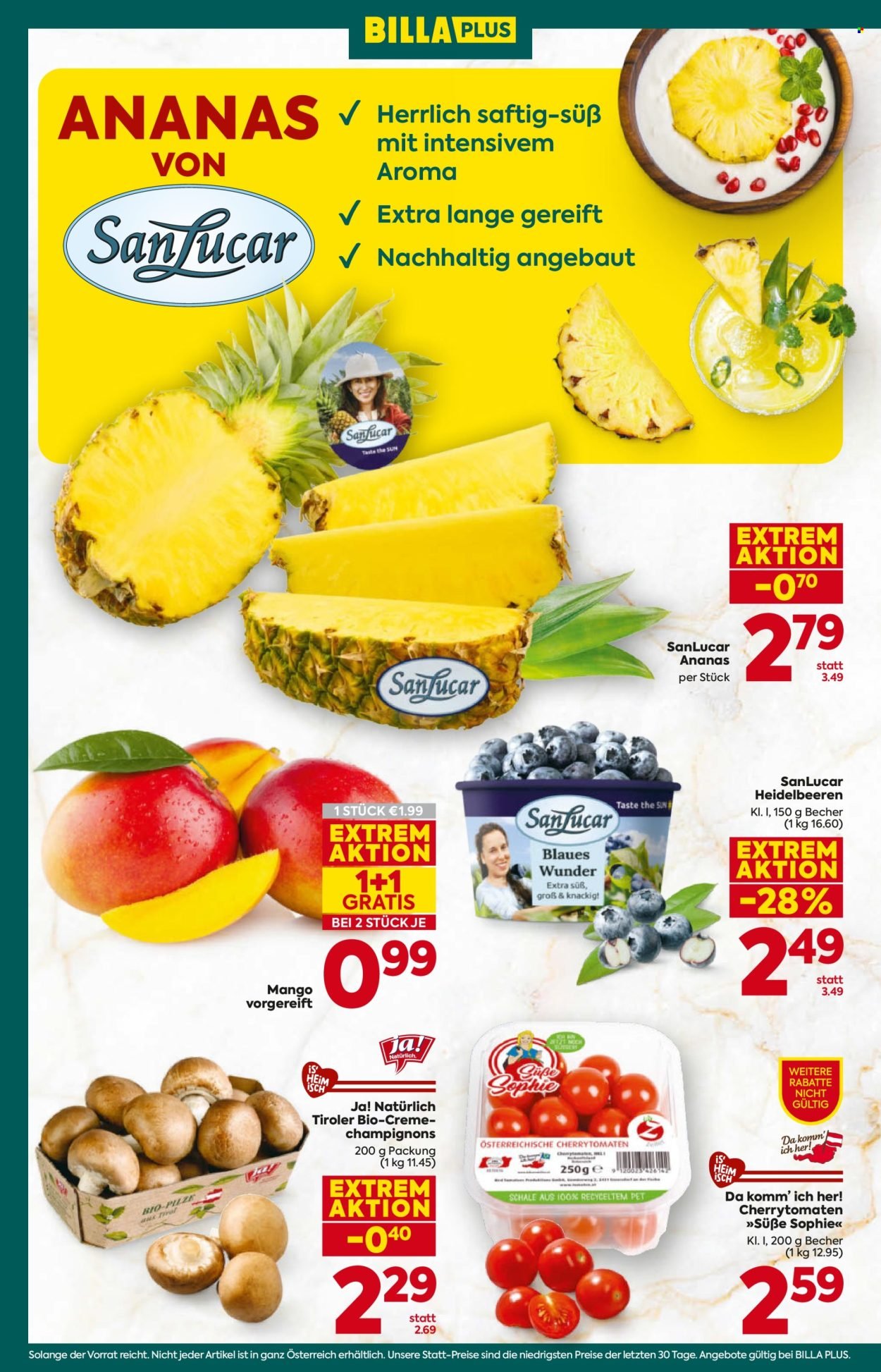 BILLA PLUS Flugblatt - Ab Donnerstag, 12.2.2026