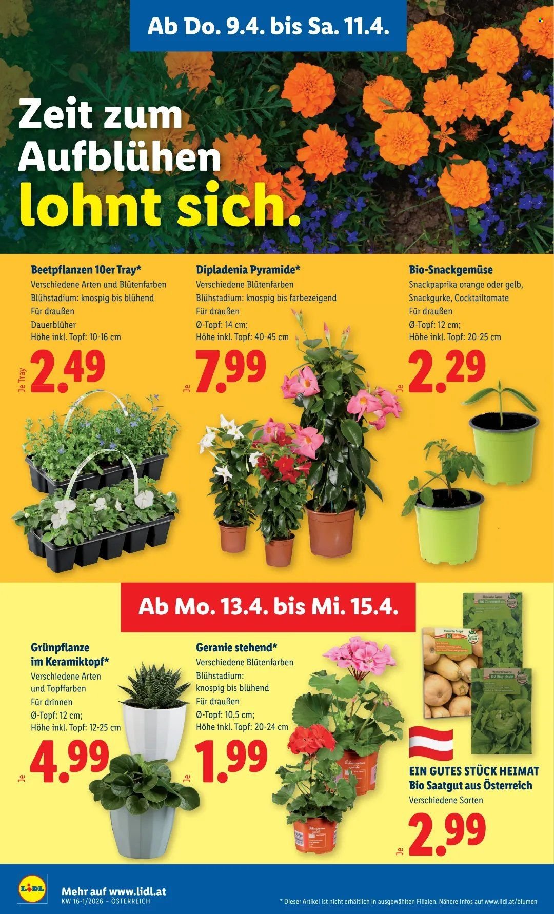 LIDL Flugblatt - Ab Donnerstag, 9.4.2026