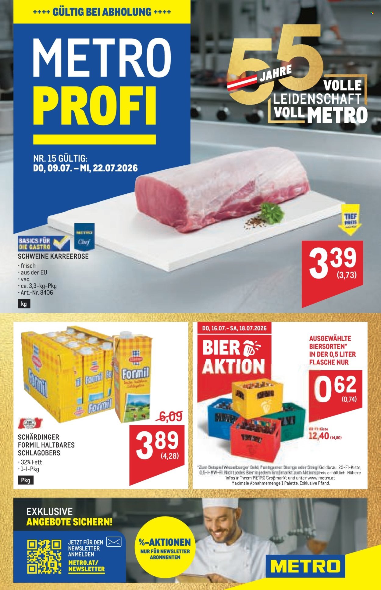 METRO Flugblatt - Profi