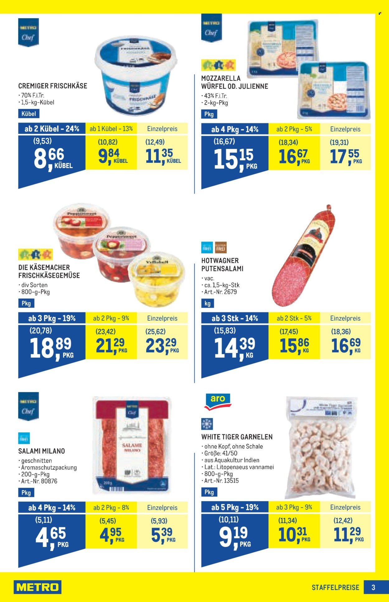 METRO Flugblatt - Profi