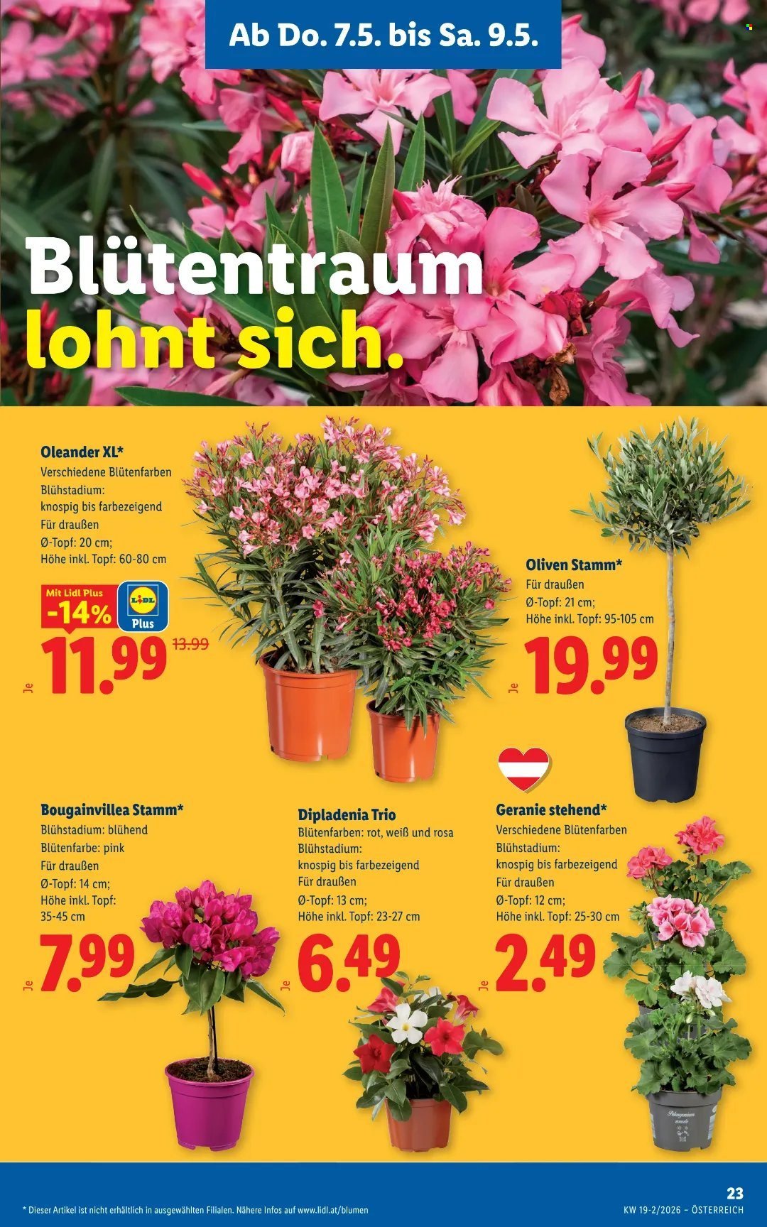 LIDL Flugblatt - Ab Donnerstag, 7.5.2026