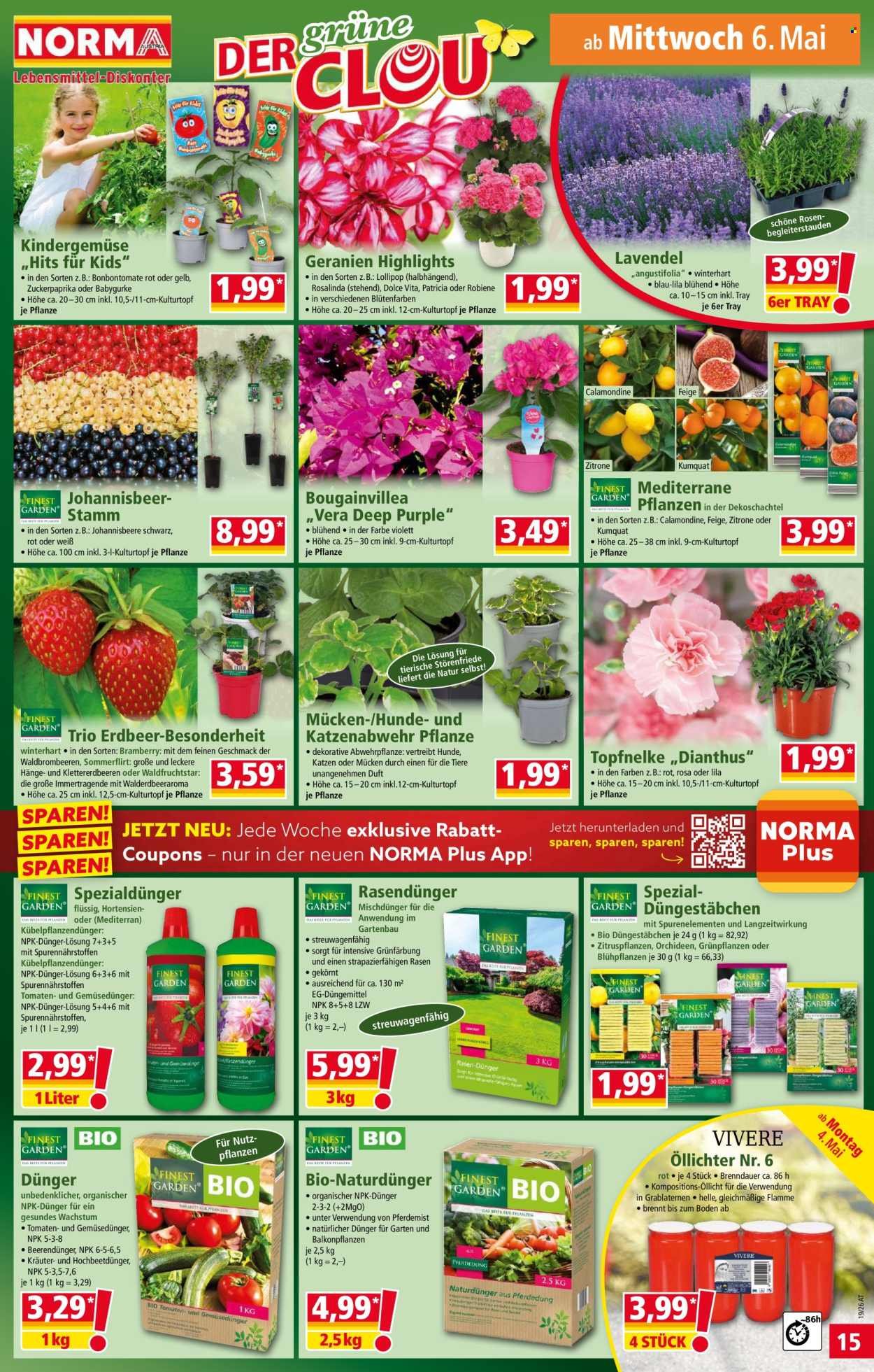NORMA Flugblatt - Ab Montag, 4.5.2026