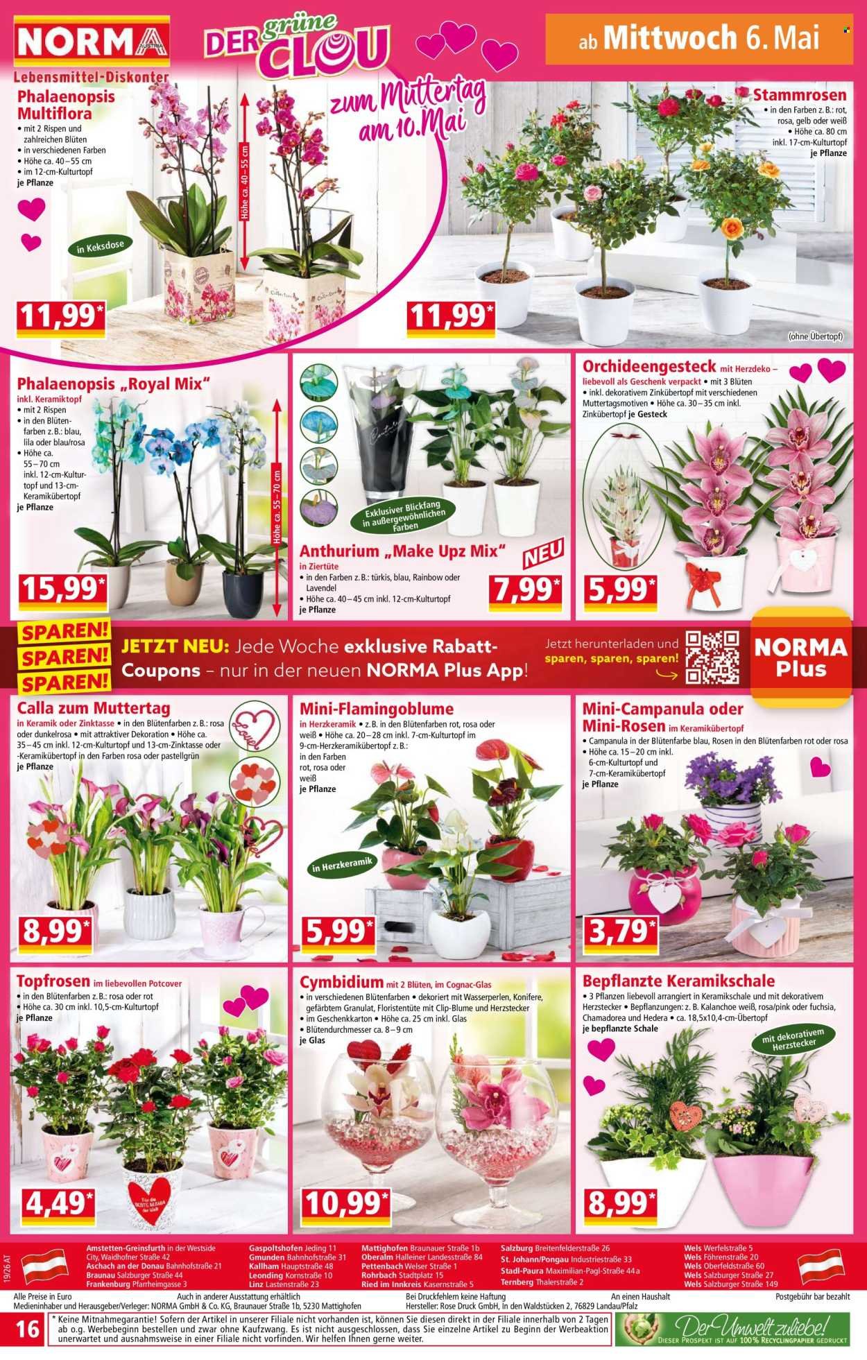 NORMA Flugblatt - Ab Montag, 4.5.2026