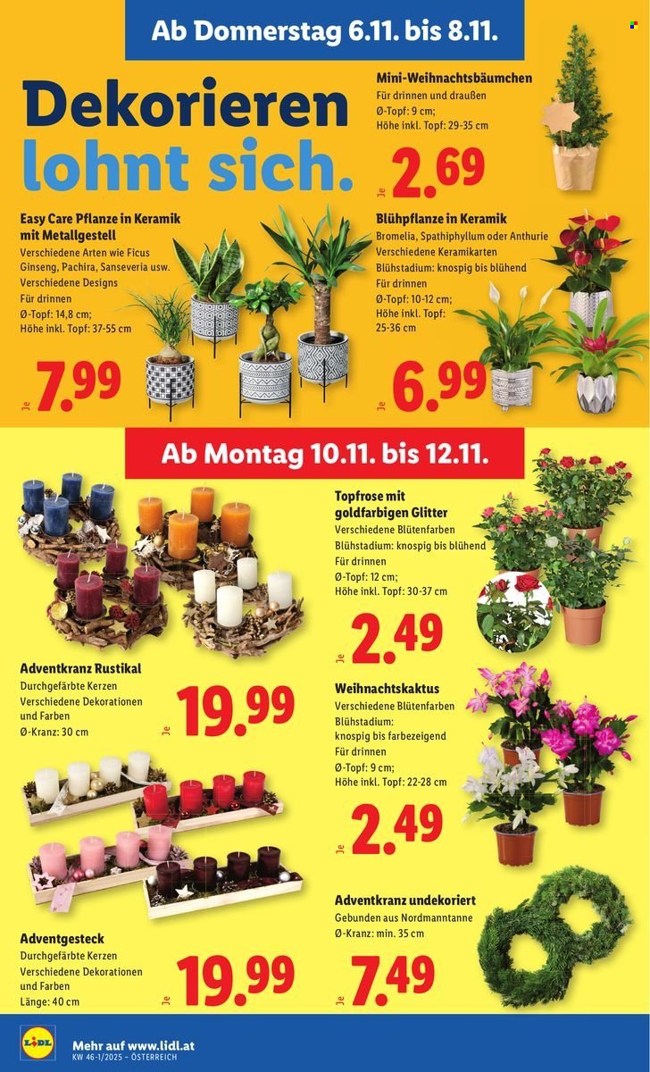 LIDL Flugblatt - Ab Donnerstag, 6.11.2025 (2025-11-06 - 2025-11-12) | 28