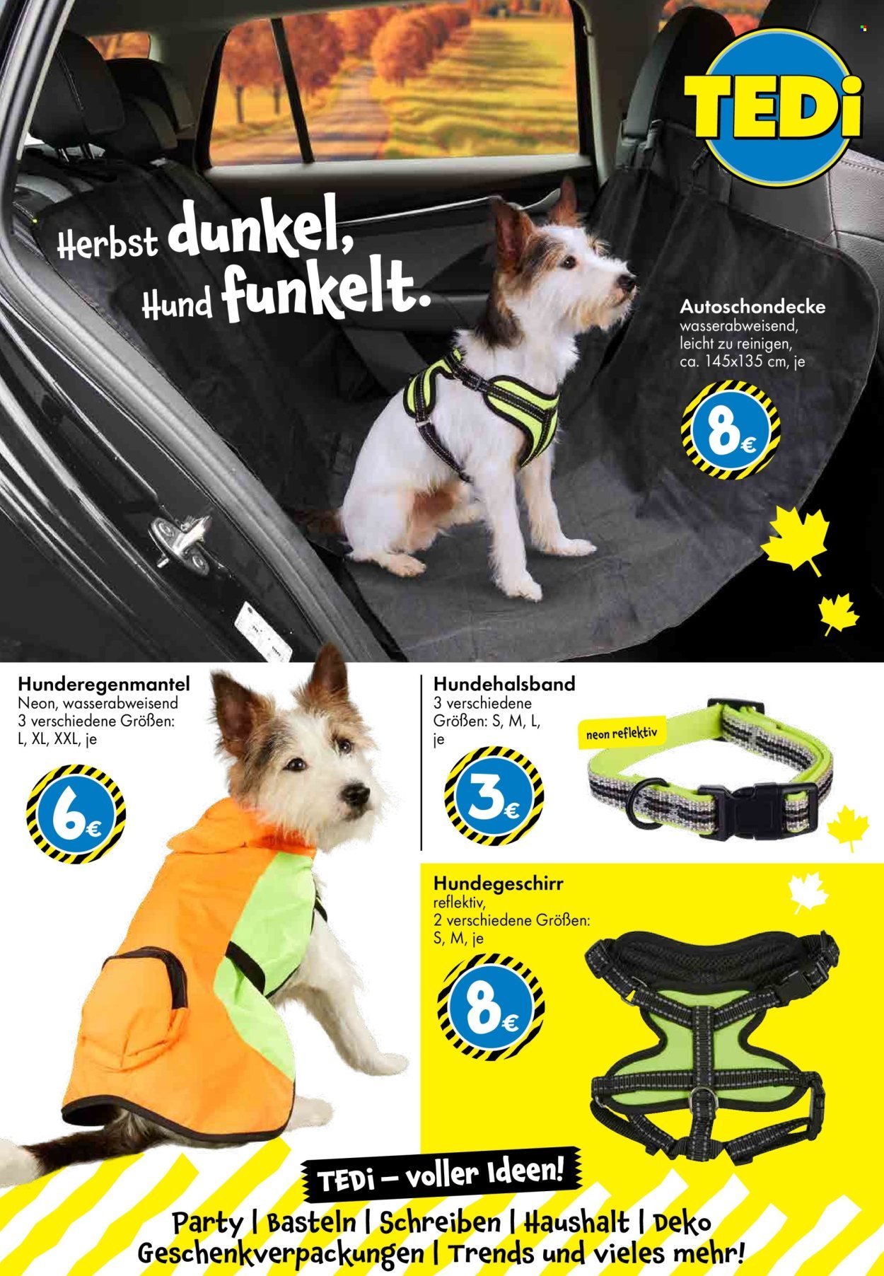 TEDI Flugblatt - Ab Freitag, 3.10.2025 (2025-10-03 - 2025-10-11)