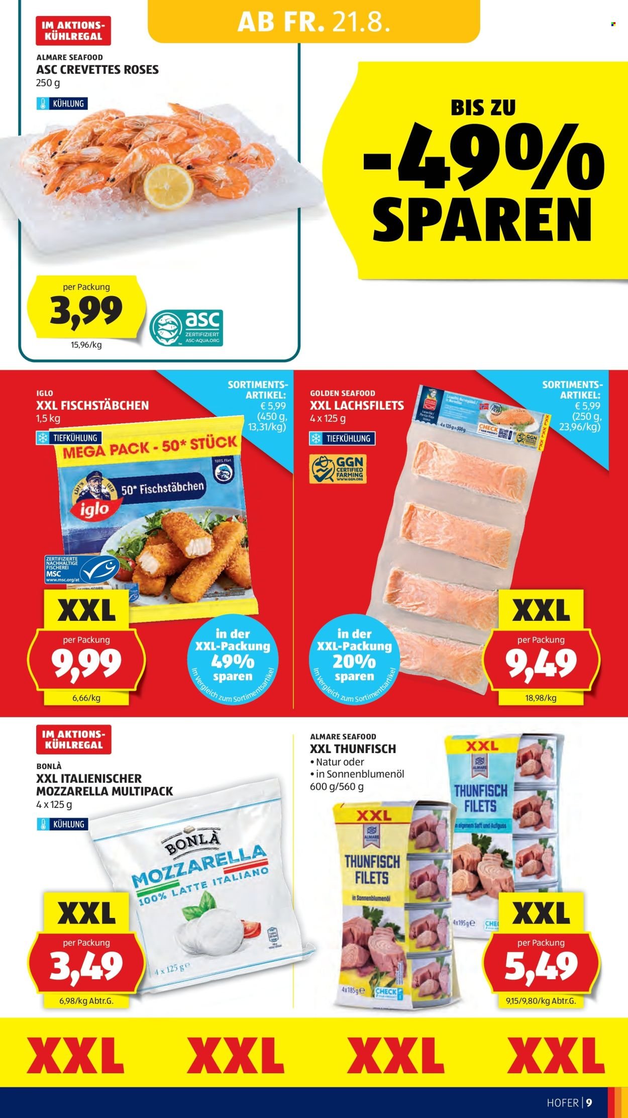 HOFER Flugblatt - Ab Freitag, 21.8.2026
