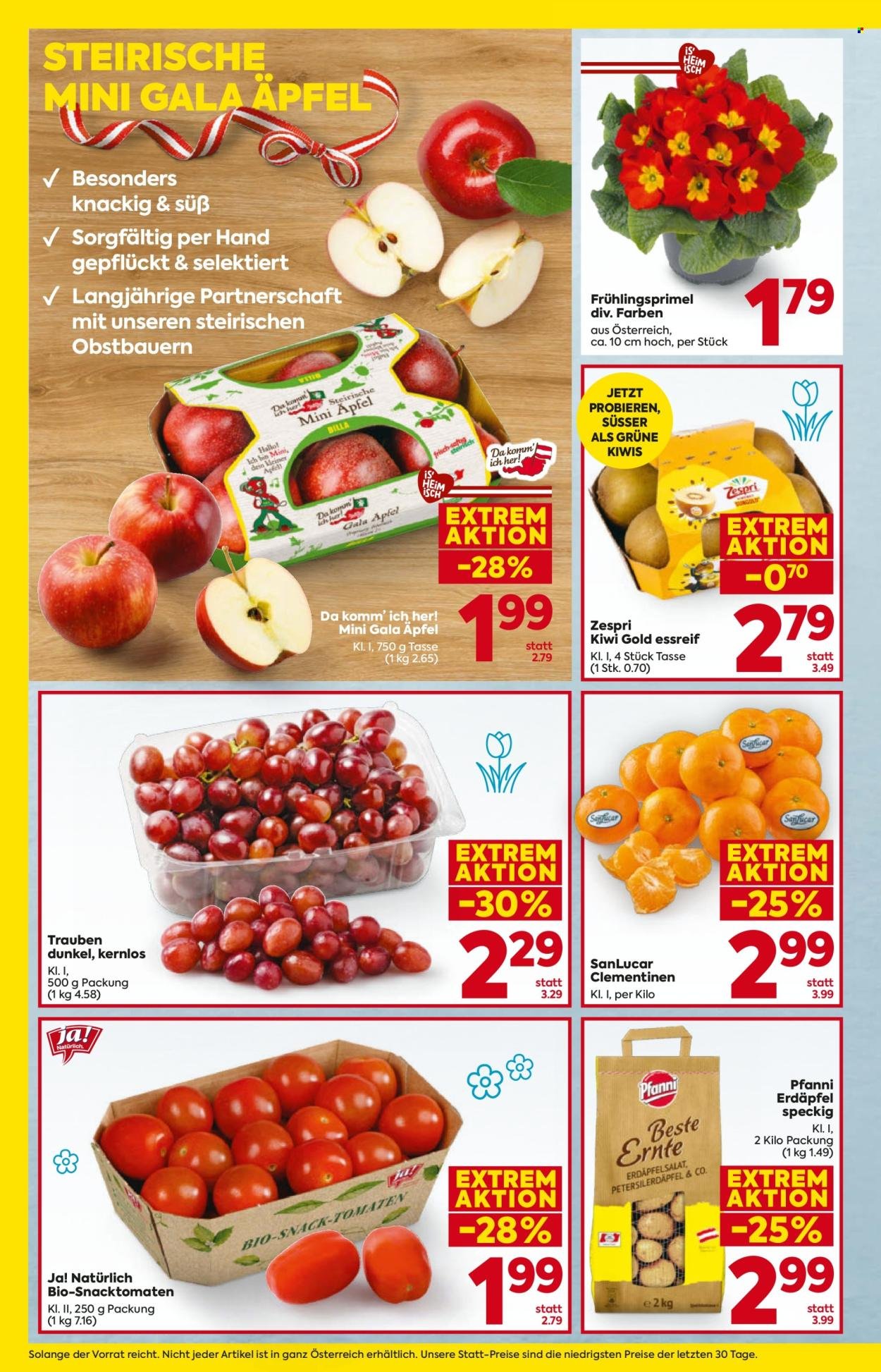 BILLA Flugblatt - Ab Donnerstag, 19.2.2026