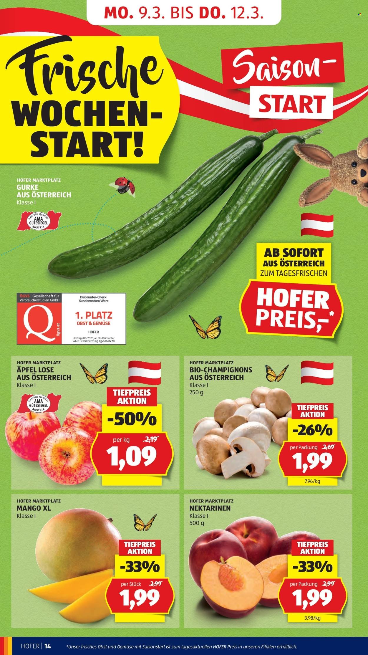 HOFER Flugblatt - Ab Mittwoch, 4.3.2026