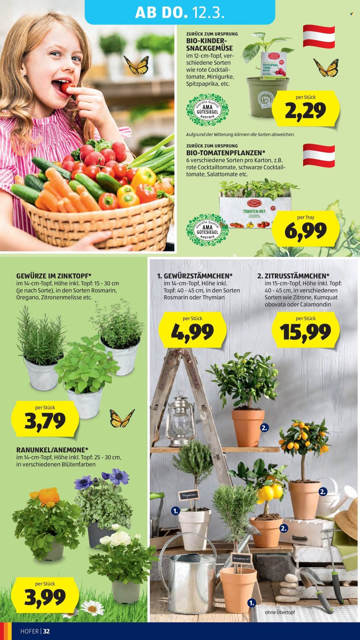 HOFER Flugblatt - Ab Mittwoch, 4.3.2026