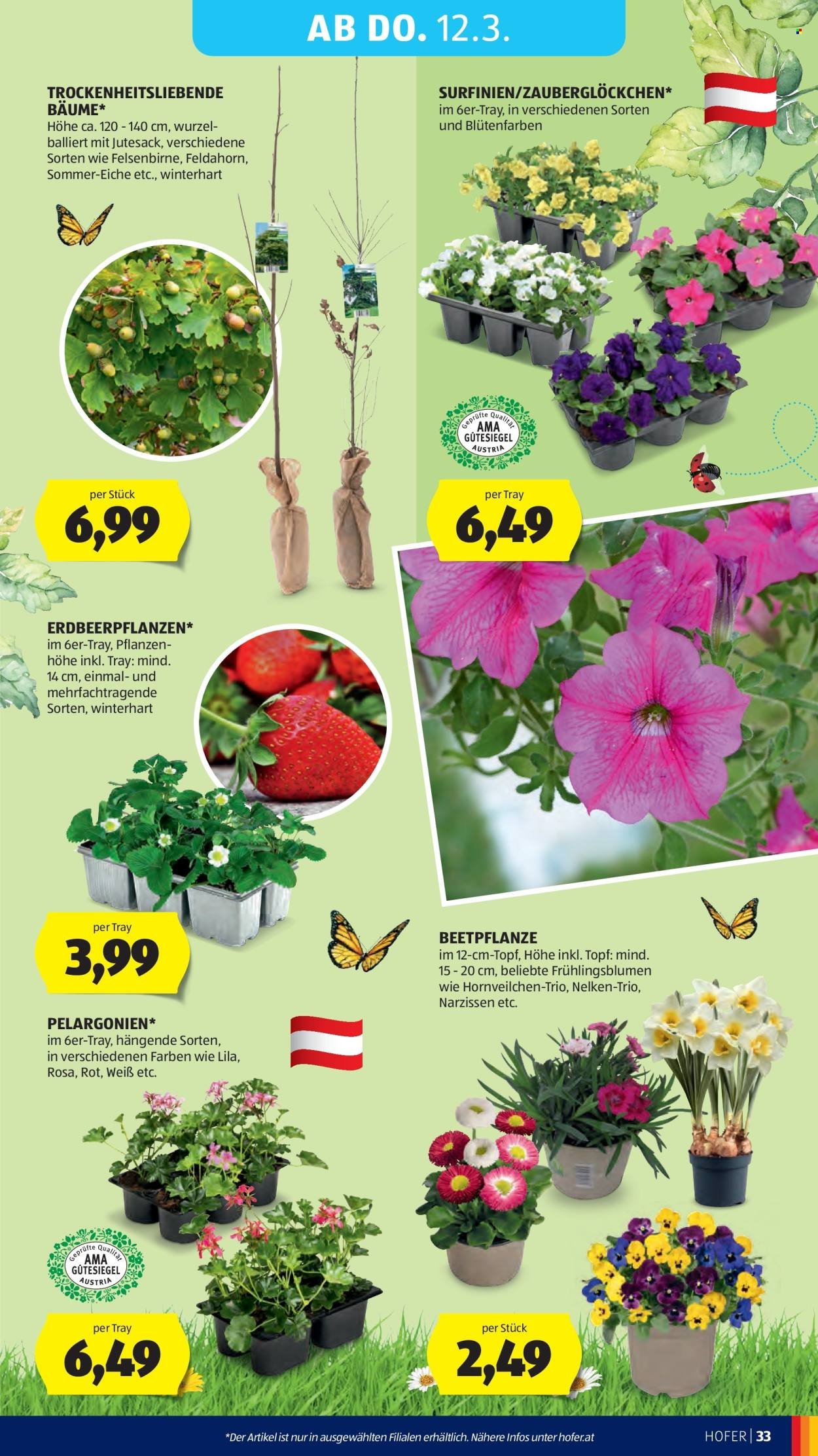 HOFER Flugblatt - Ab Mittwoch, 4.3.2026