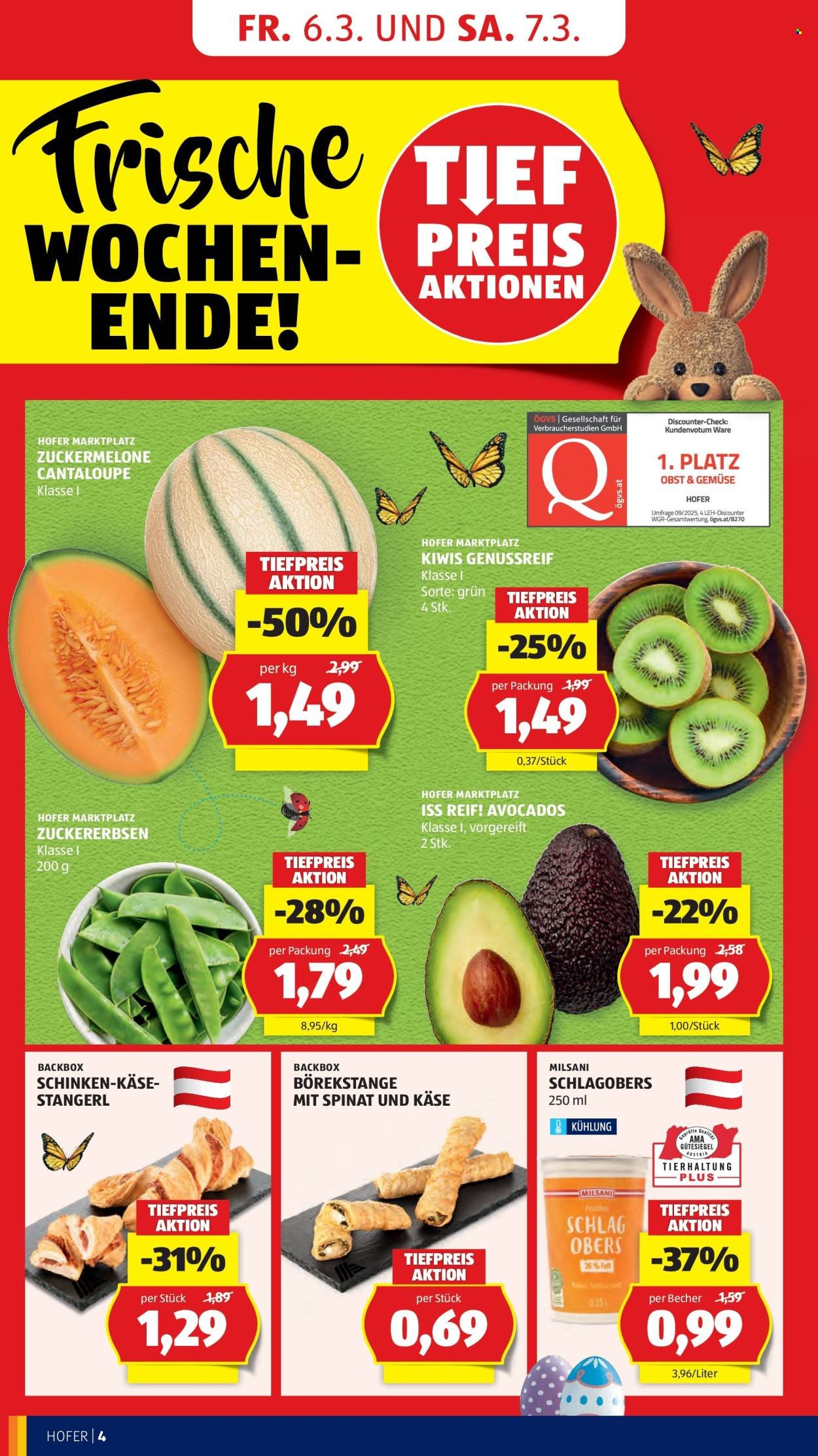 HOFER Flugblatt - Ab Mittwoch, 4.3.2026