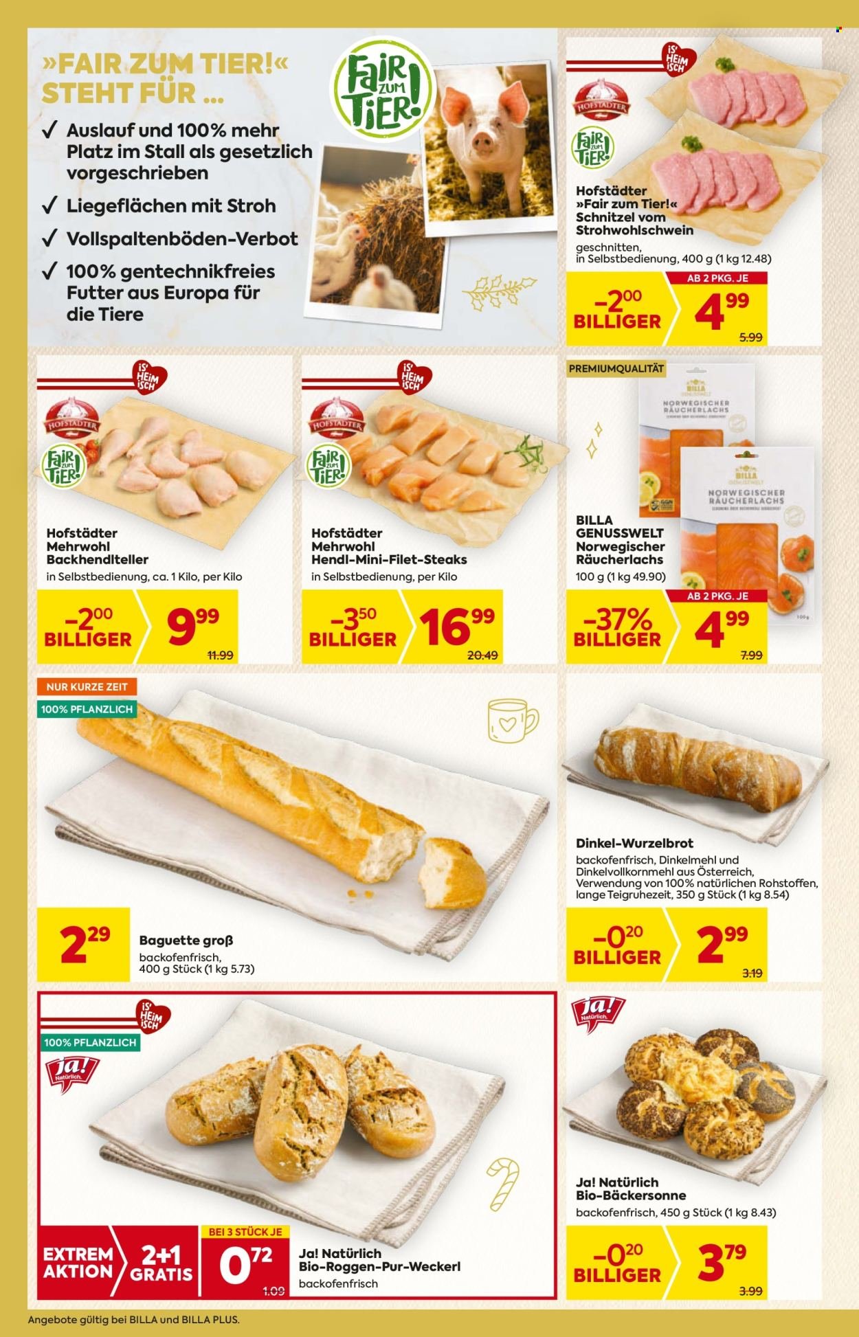 BILLA Flugblatt - Ab Donnerstag, 20.11.2025 (2025-11-20 - 2025-11-26)