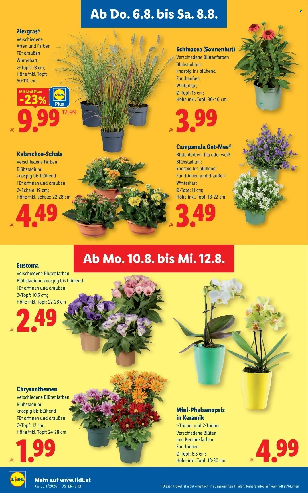 LIDL Flugblatt - Ab Donnerstag, 6.8.2026