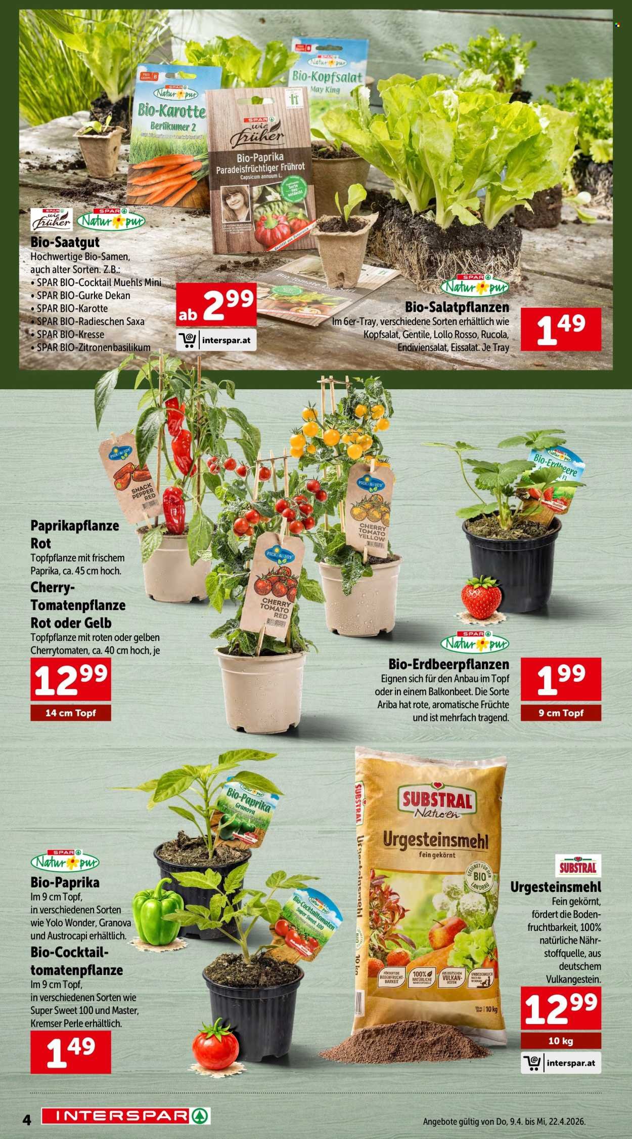 INTERSPAR Flugblatt - Sonderfolder Garten & Grillen