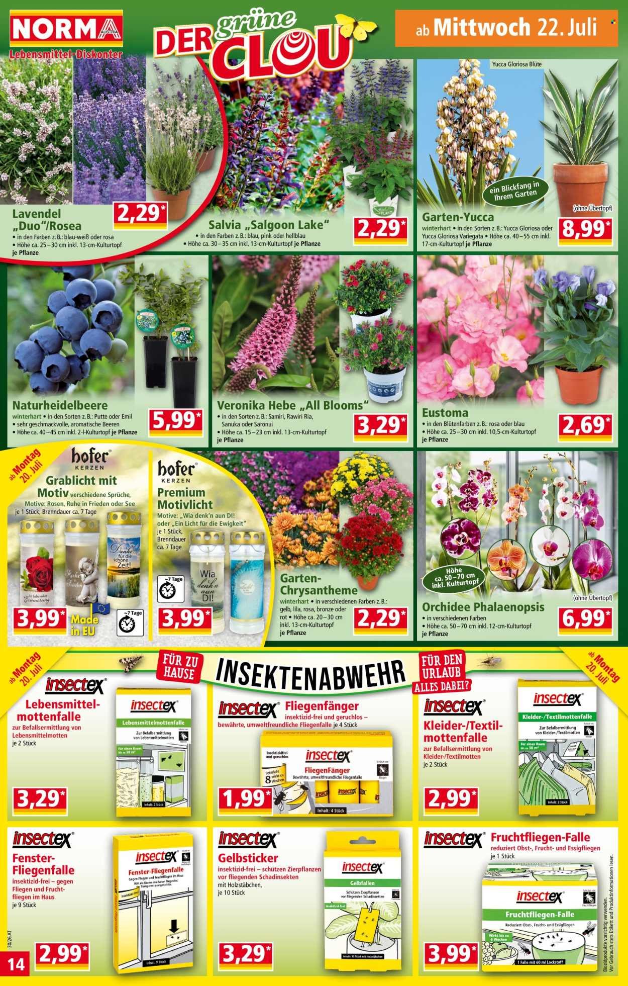 NORMA Flugblatt - Ab Montag, 20.7.2026