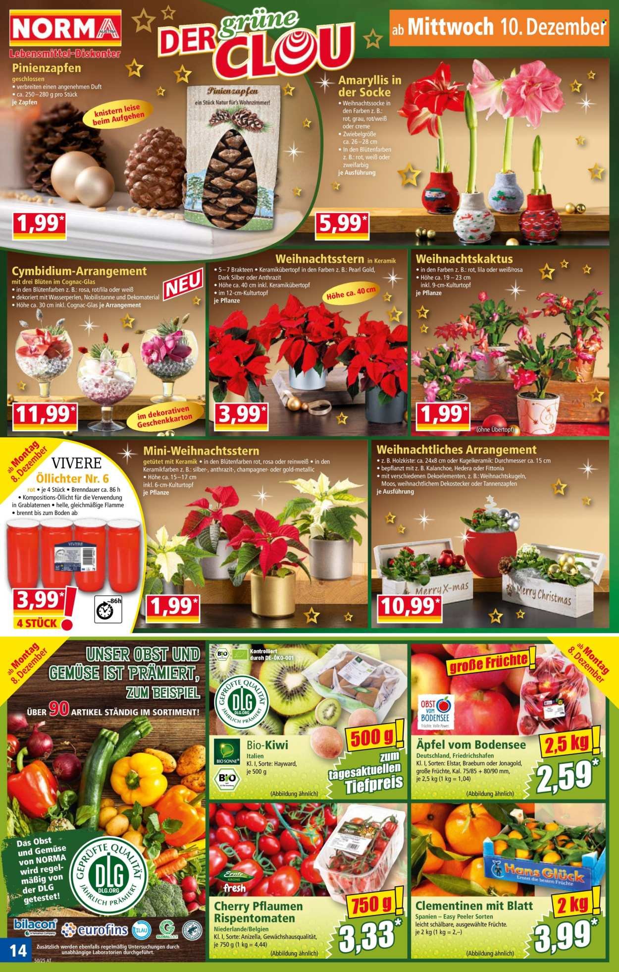 NORMA Flugblatt - Ab Montag, 8.12.2025