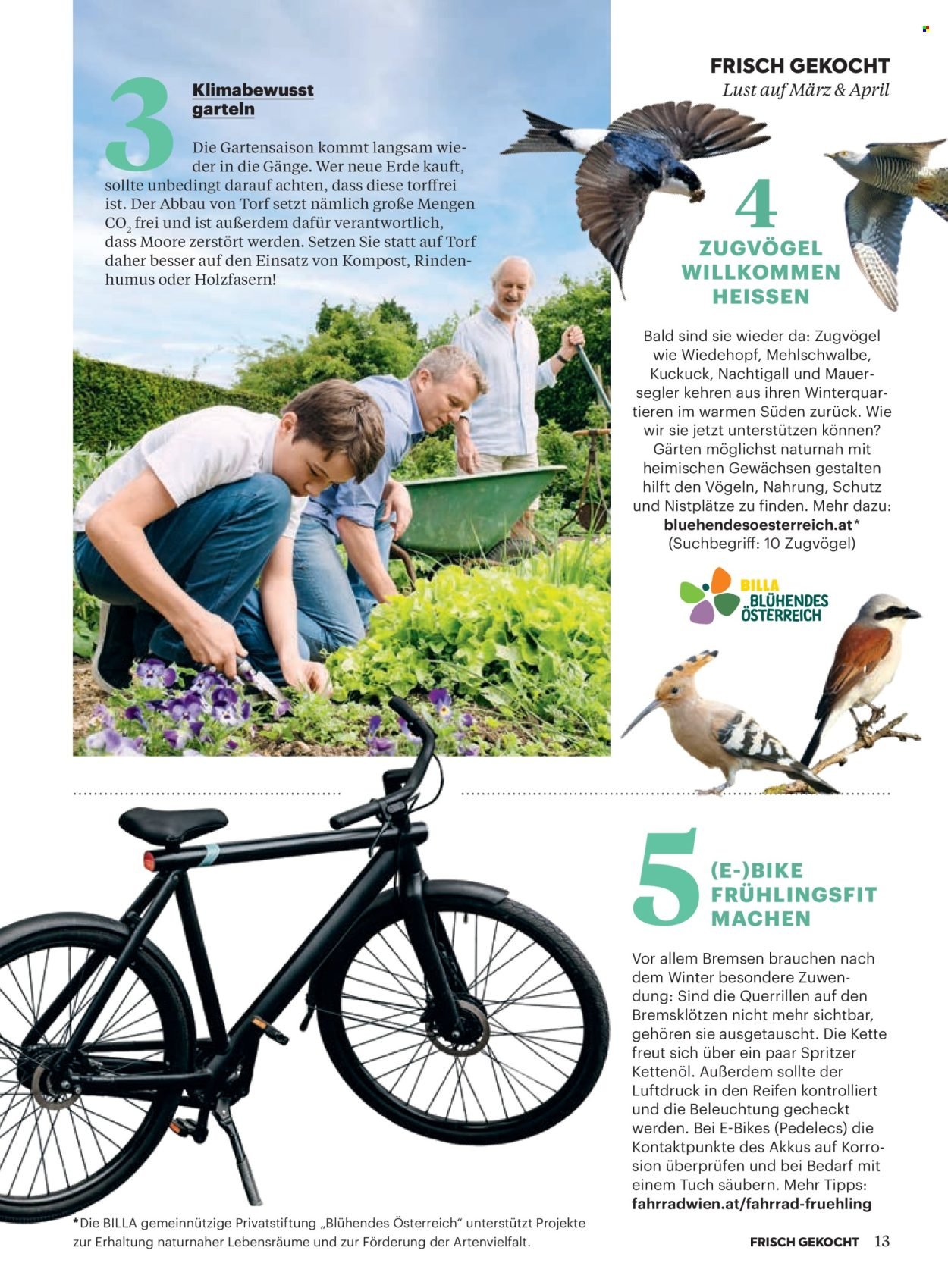 BILLA Flugblatt - Ab Sonntag, 1.3.2026