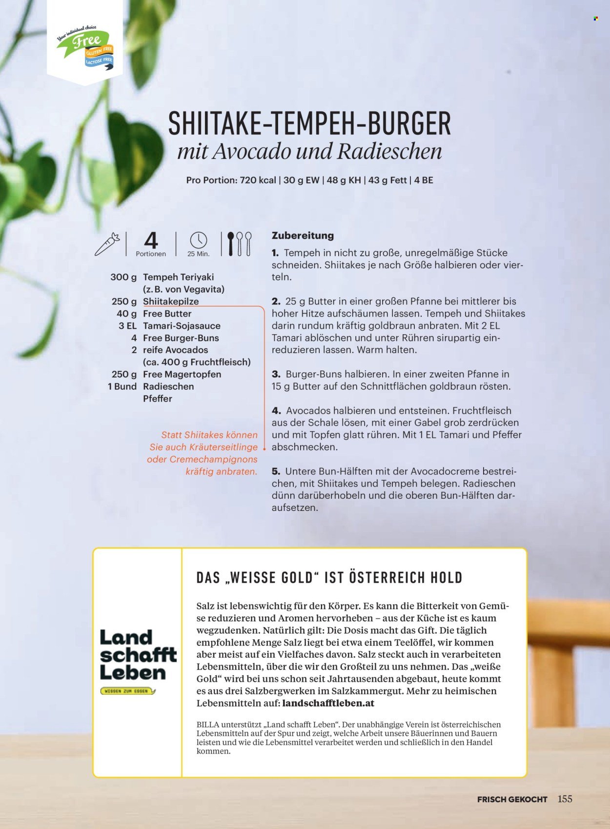 BILLA Flugblatt - Ab Sonntag, 1.3.2026