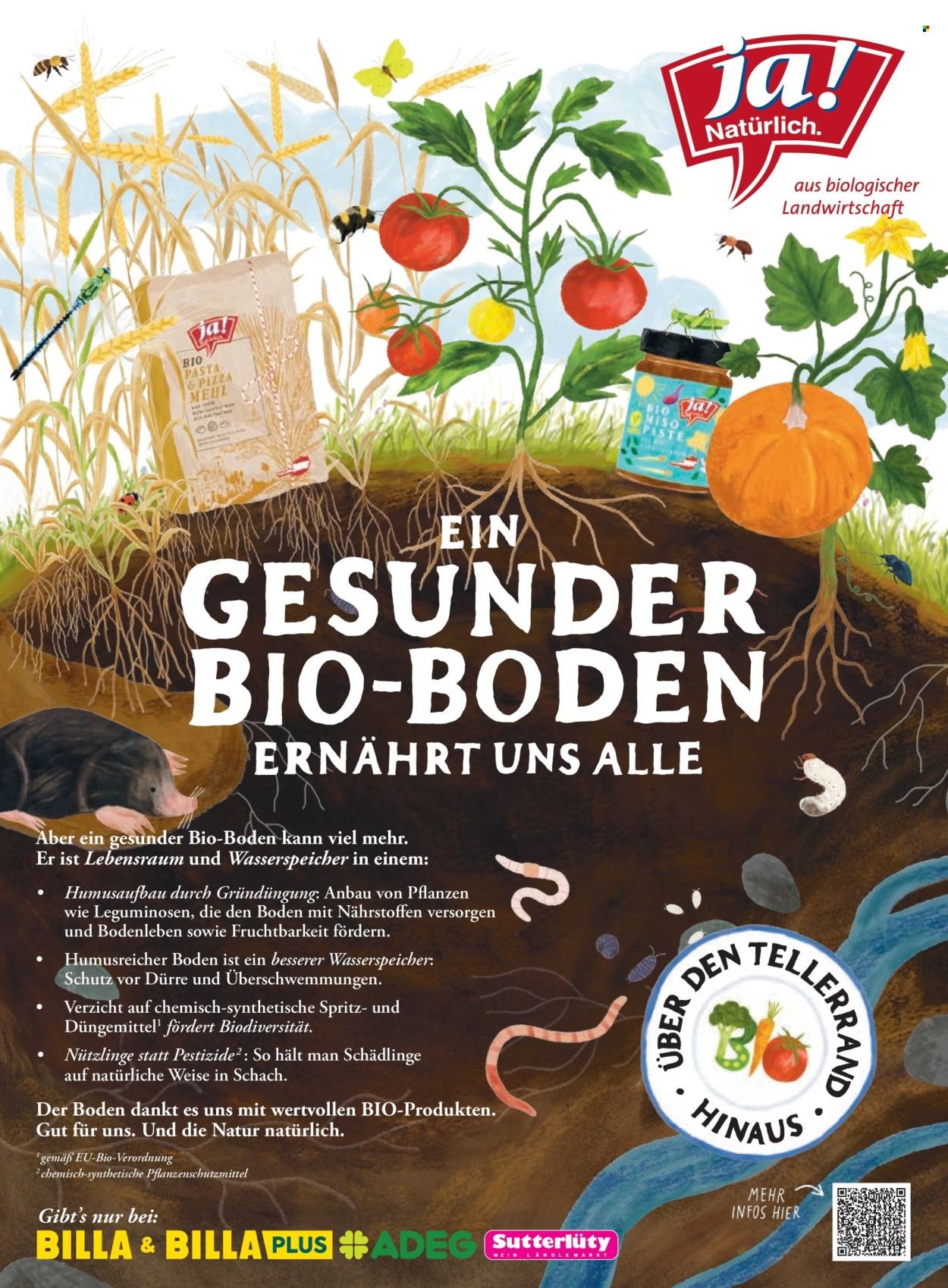 BILLA Flugblatt - Ab Sonntag, 1.3.2026