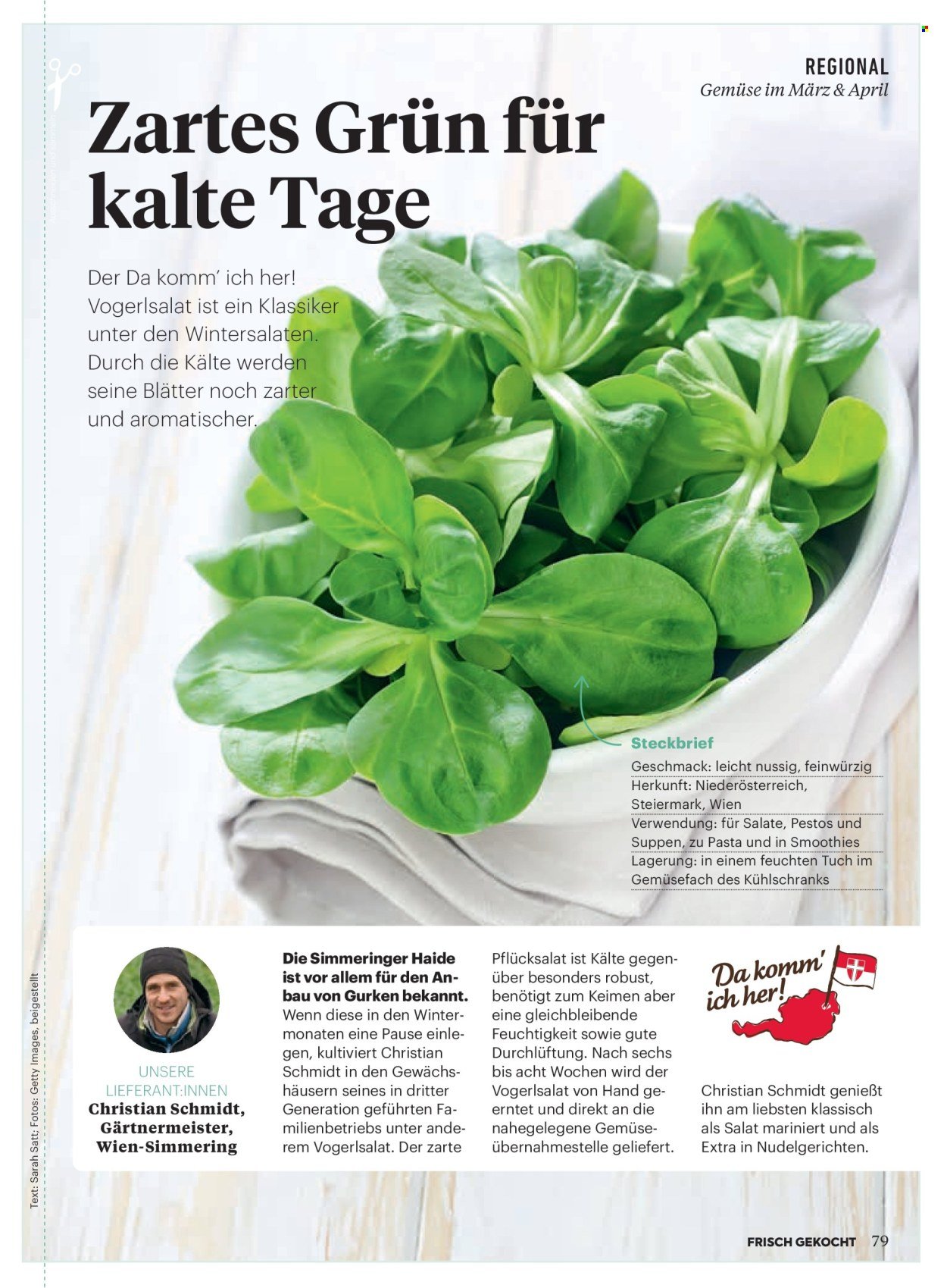 BILLA Flugblatt - Ab Sonntag, 1.3.2026