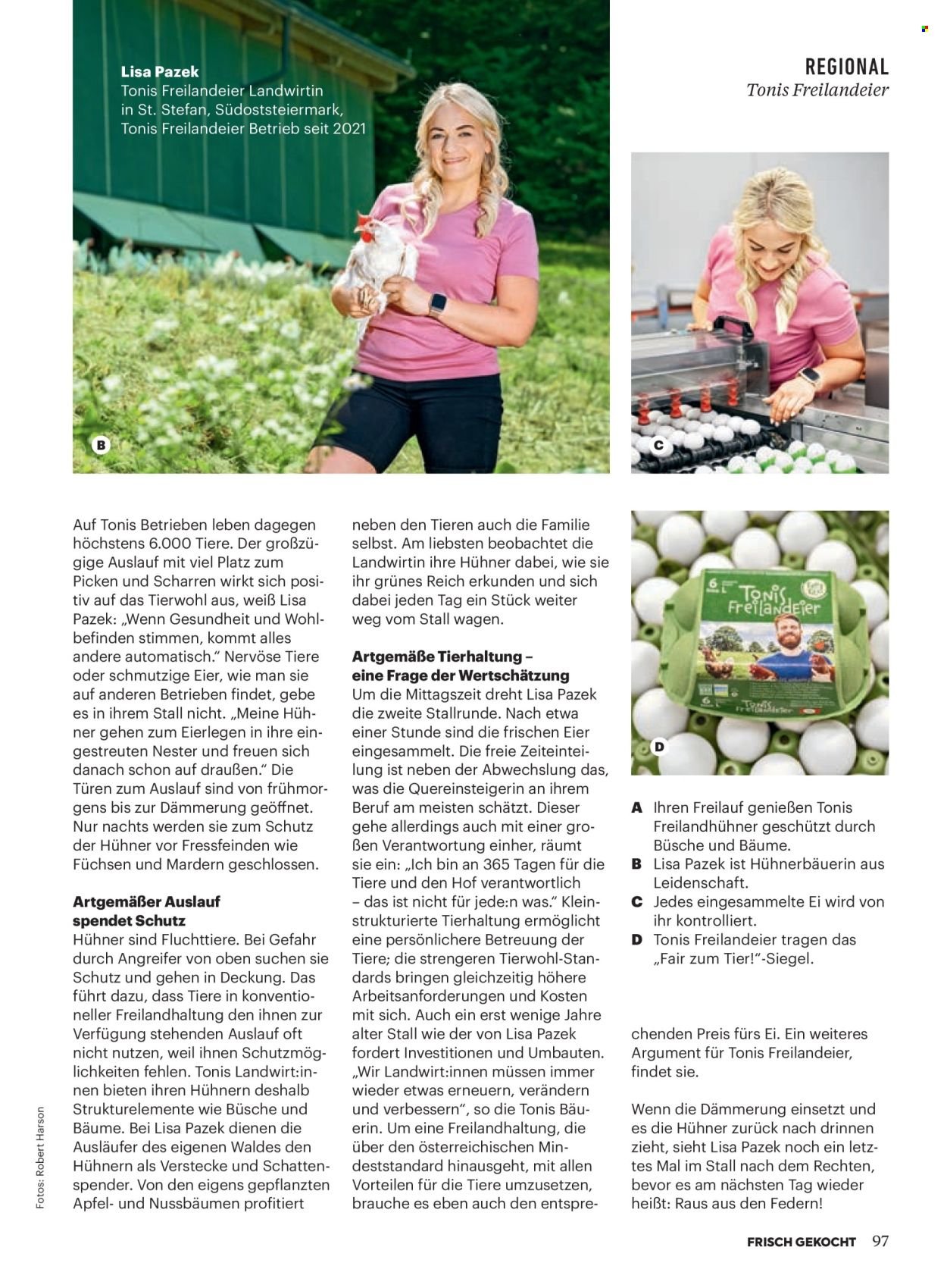 BILLA Flugblatt - Ab Sonntag, 1.3.2026