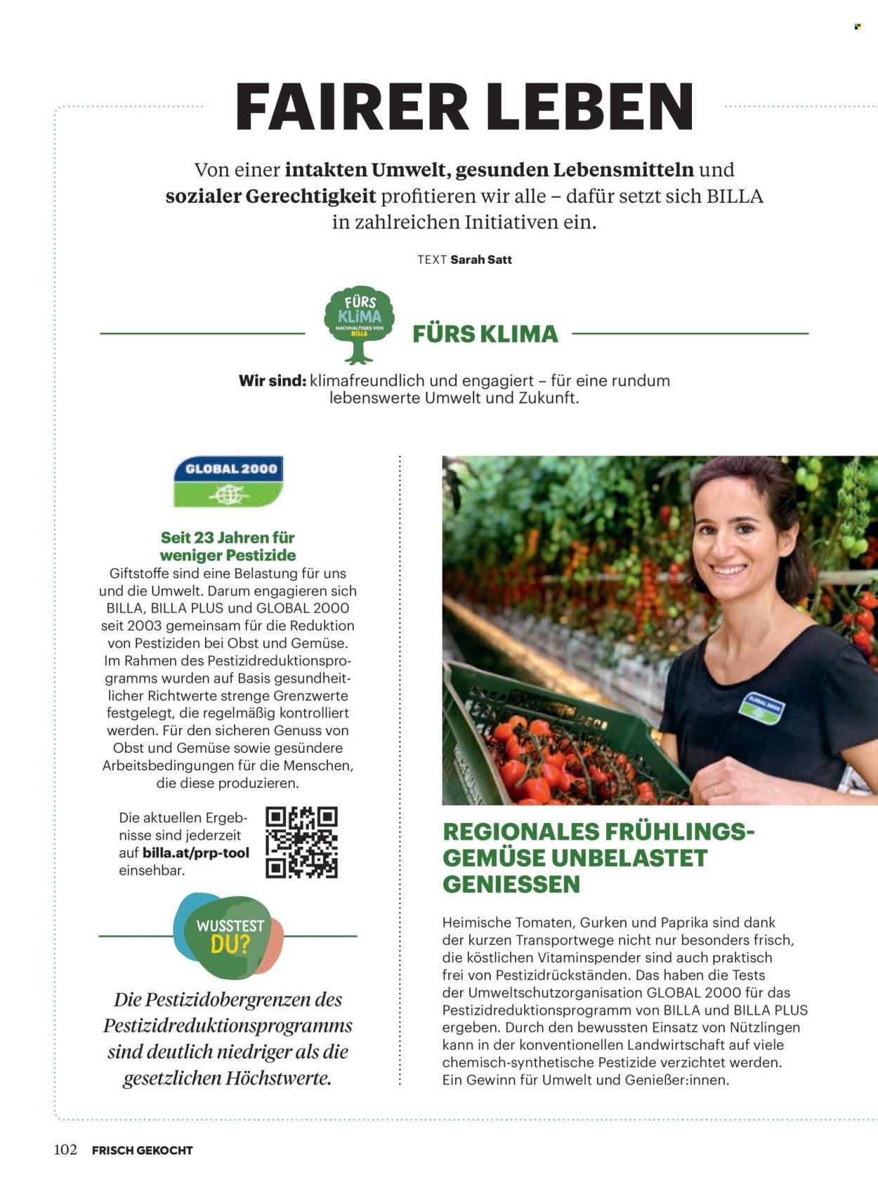 BILLA Flugblatt - Ab Sonntag, 1.3.2026