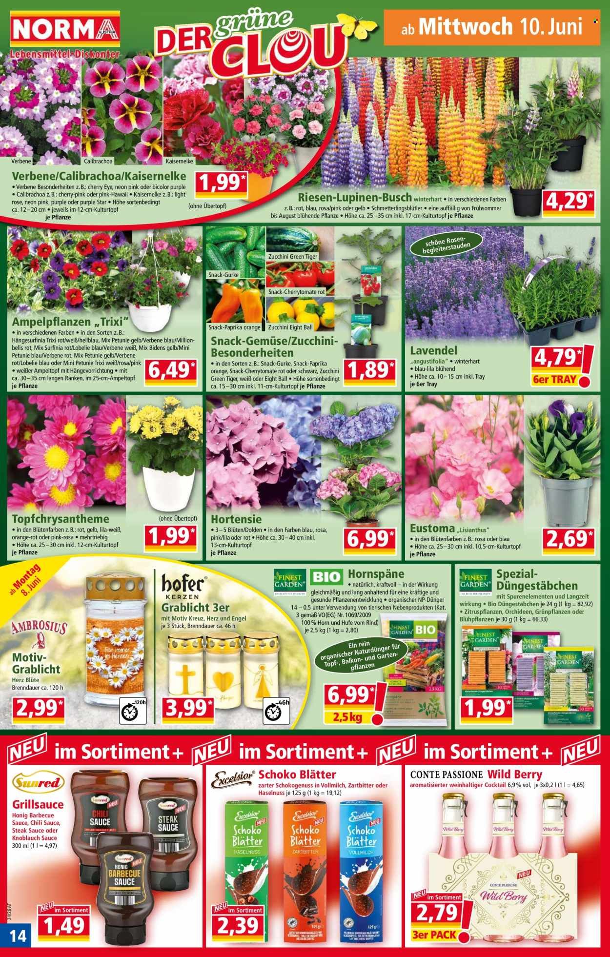 NORMA Flugblatt - Ab Montag, 8.6.2026