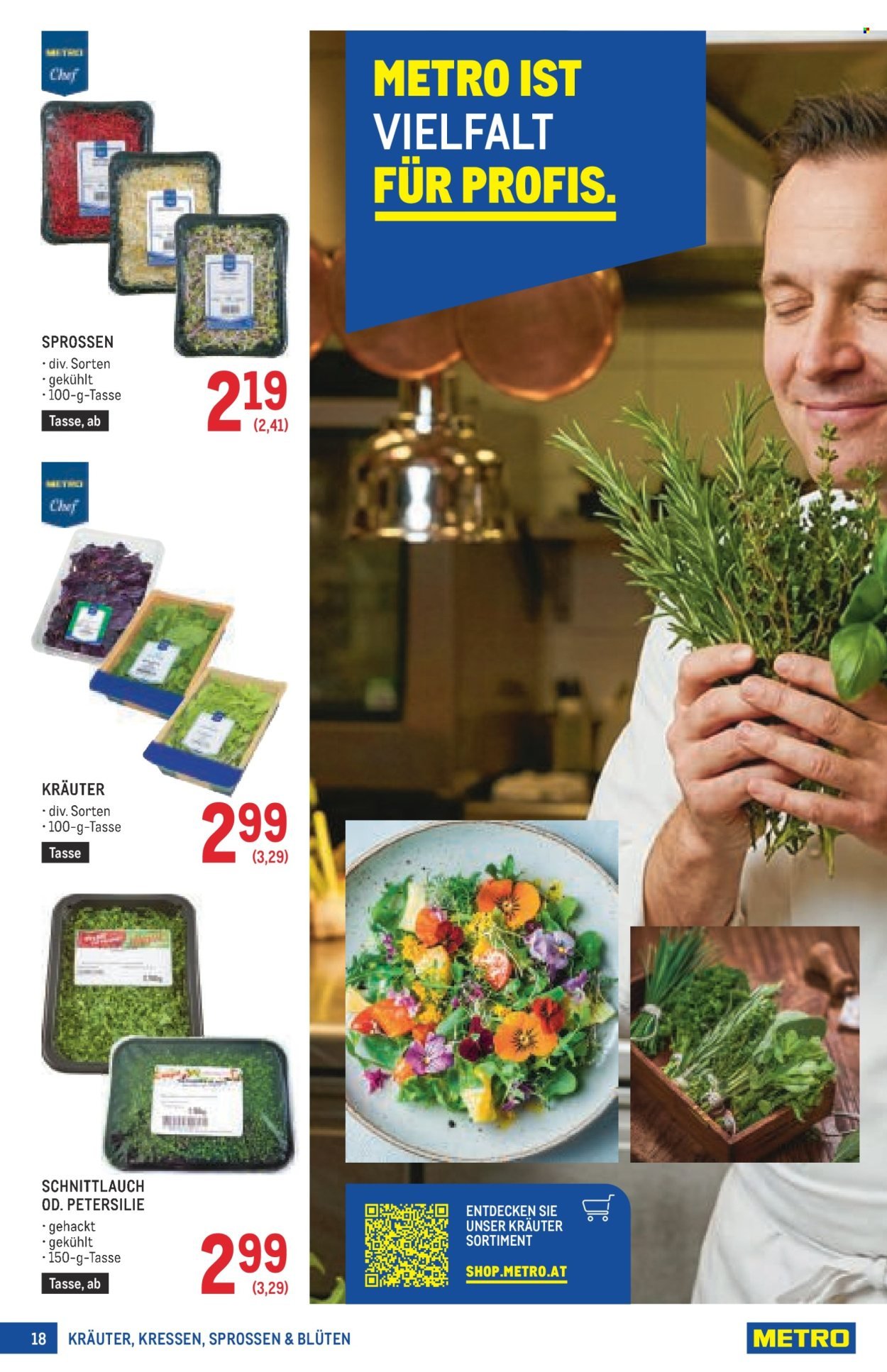 METRO Flugblatt - Profi