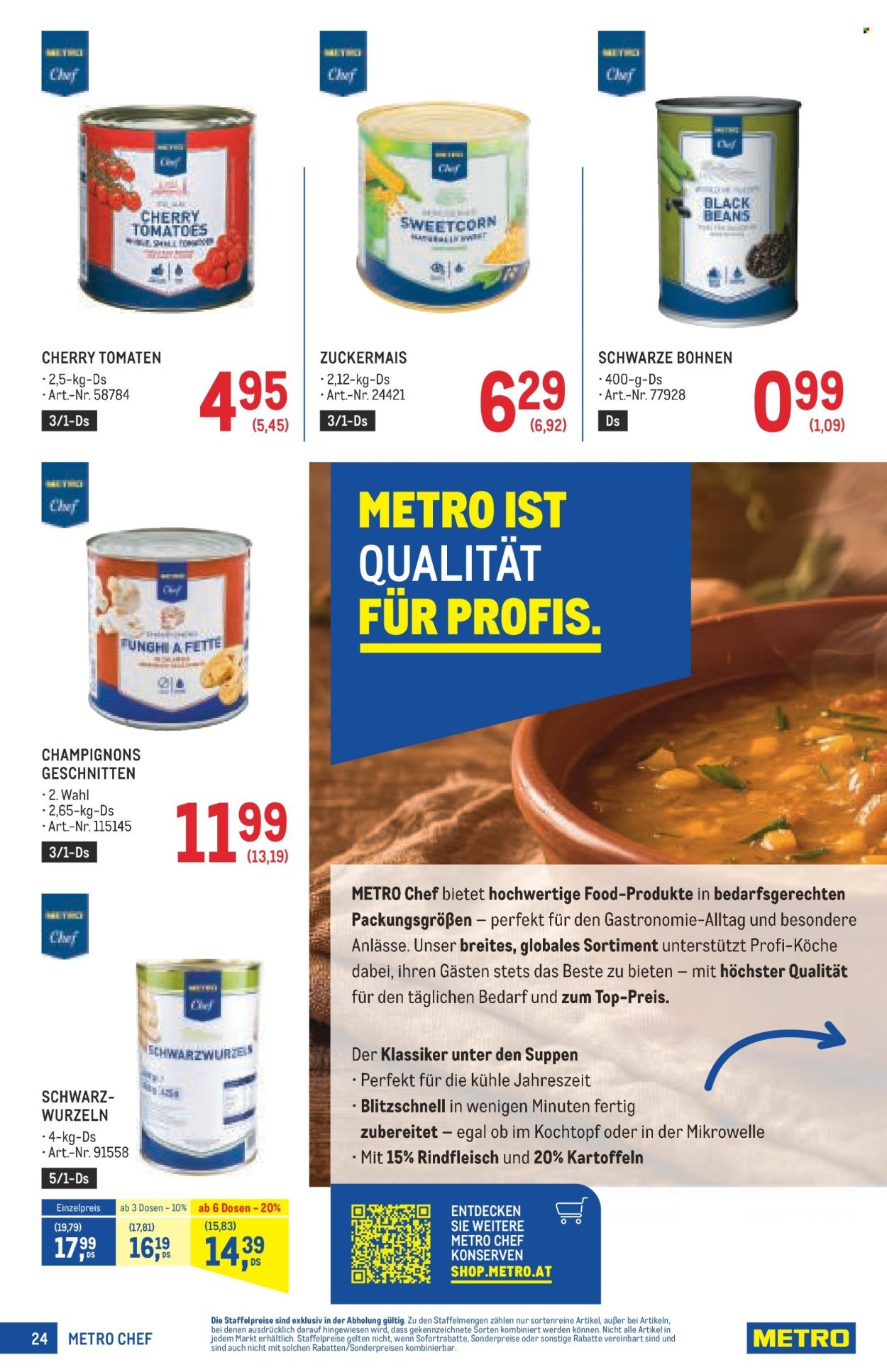 METRO Flugblatt - Profi