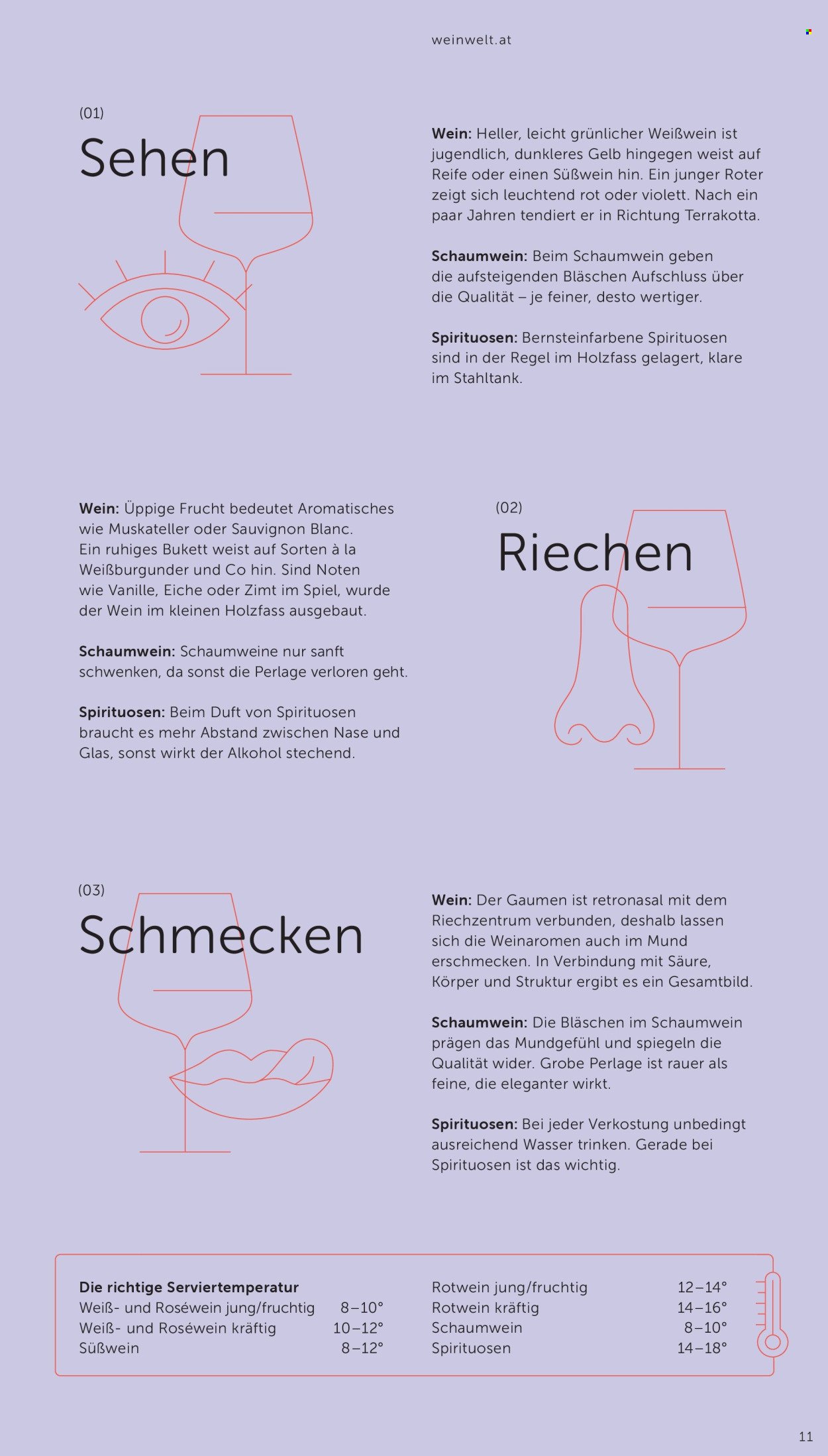INTERSPAR Flugblatt - Ab Donnerstag, 6.8.2026